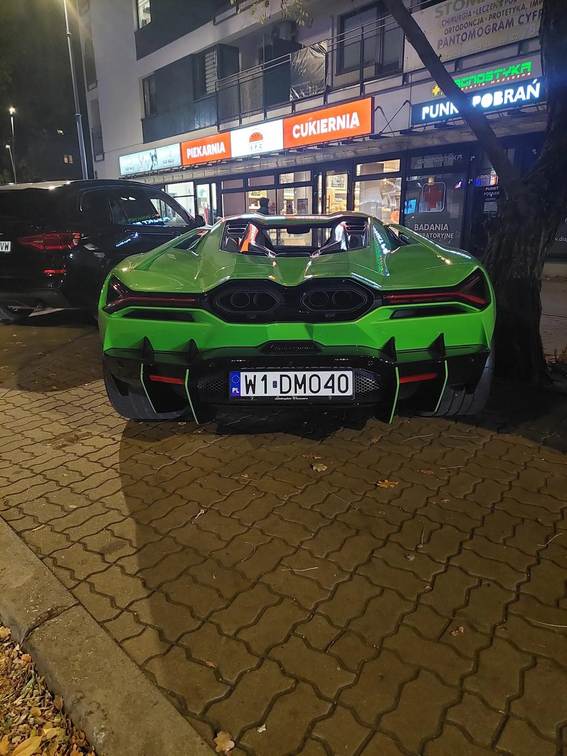 Panie właścicielu ładne ma Pan Revuelto