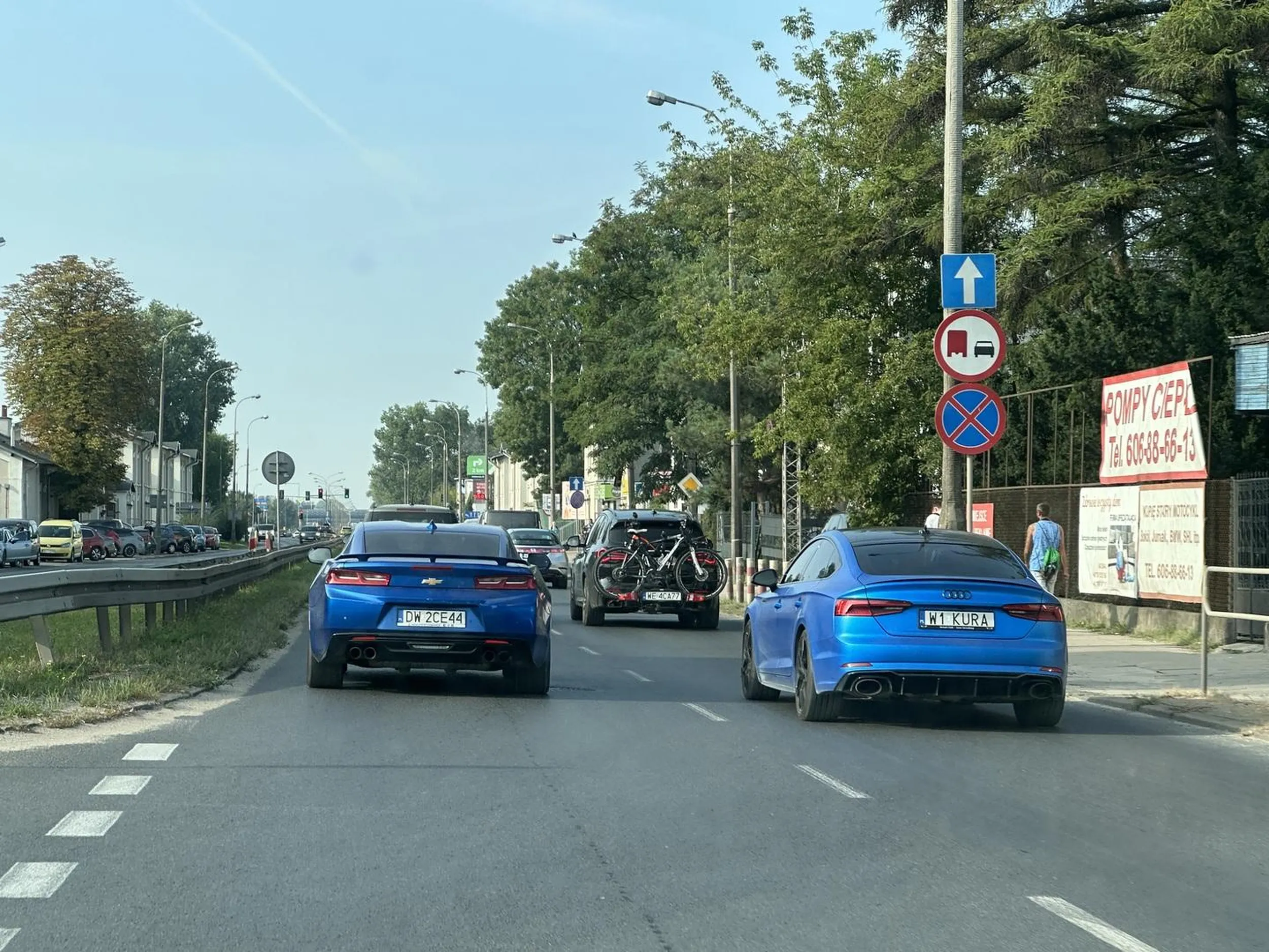 Ładnie wyglądali razem na drodze