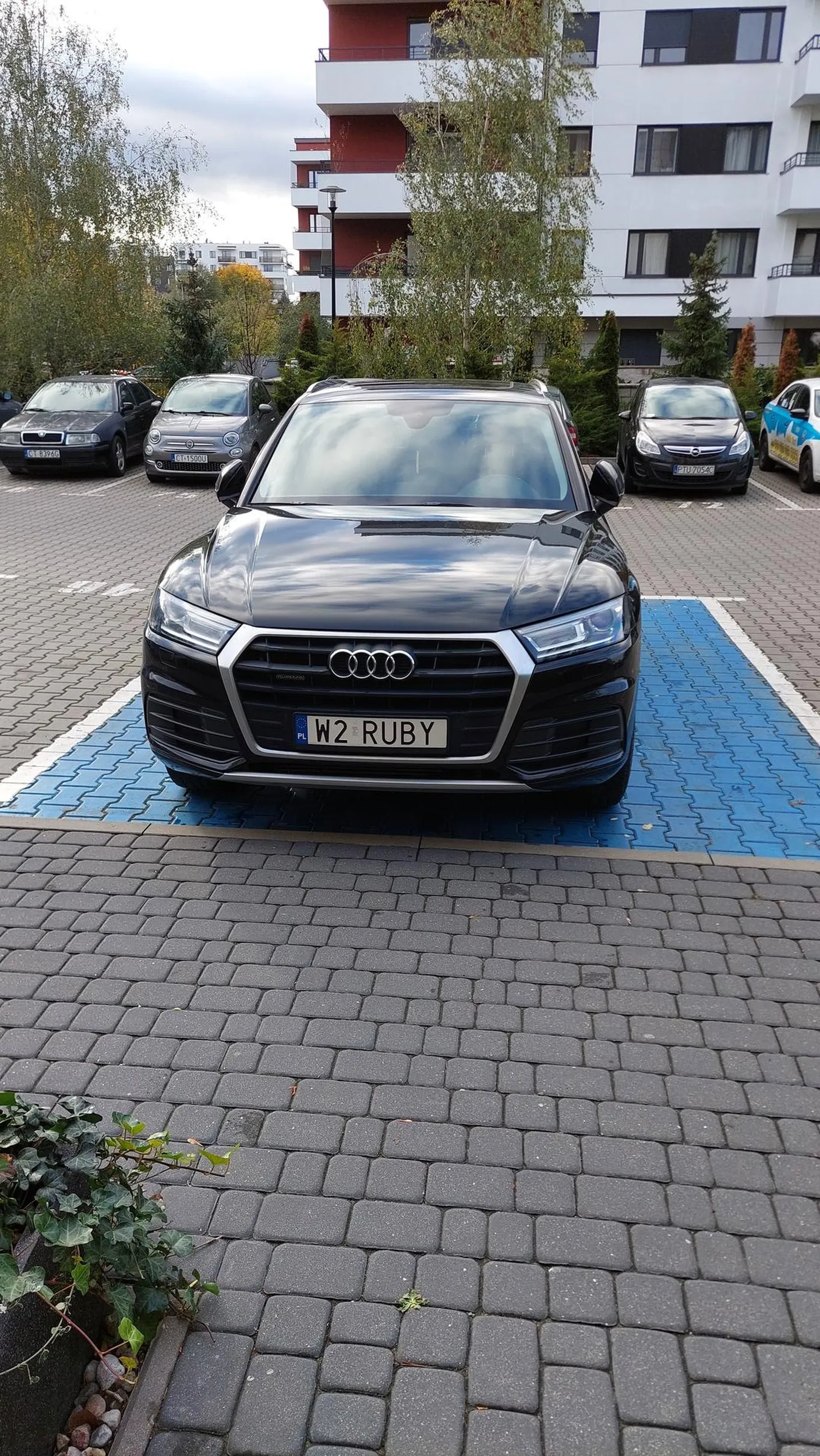 Na samochody było stać ale na miejsce parkingowej i prawo jazdy już nie... Co ludzie mają w głowach by parkować na miejscach niepełnosprawnych nie będąc niepełnosprawnym? Jak na chwilę staną się niepełnosprawni, to może dojdzie do nich czemu takie miejsca są (wątpię ale może jednak).