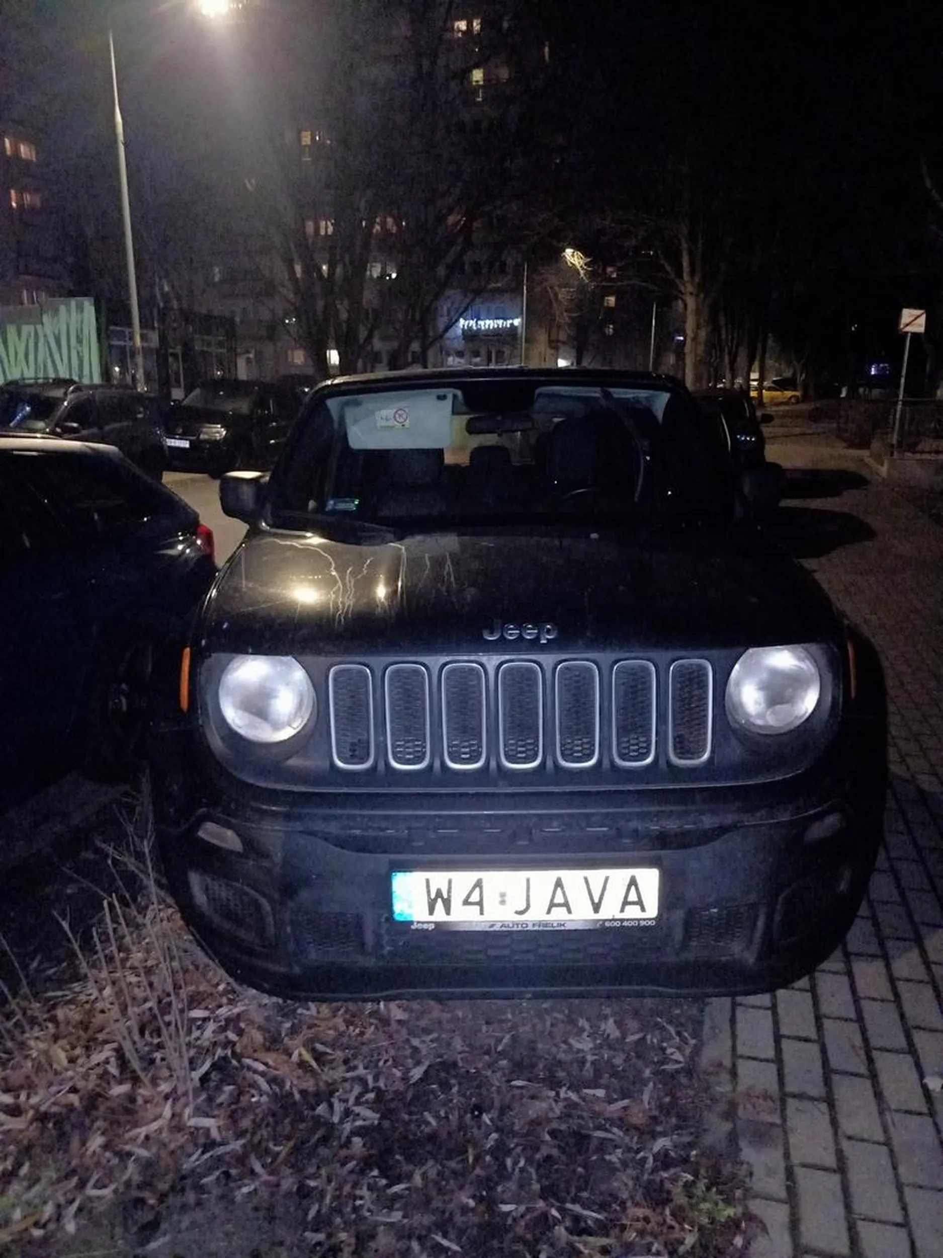 Nie potrafi parkować. Staje na krzewach.