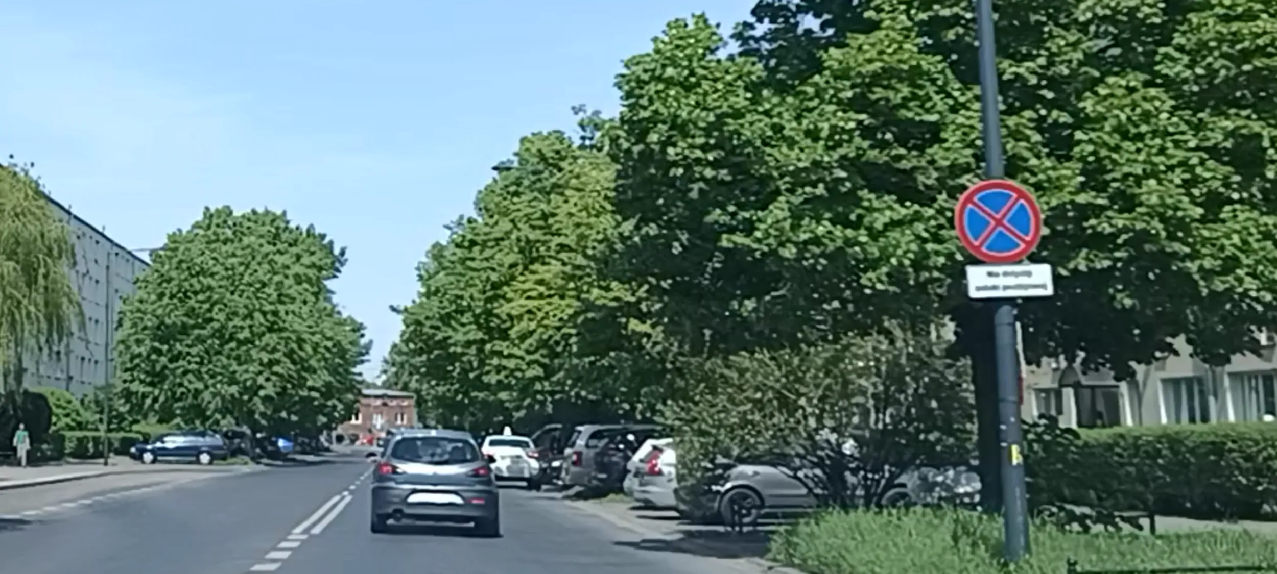 Muzułmanin parkuje nielegalnie na ulicy gdzie jest zakaz zatrzymywania się i postoju. Trzeba go deportować.