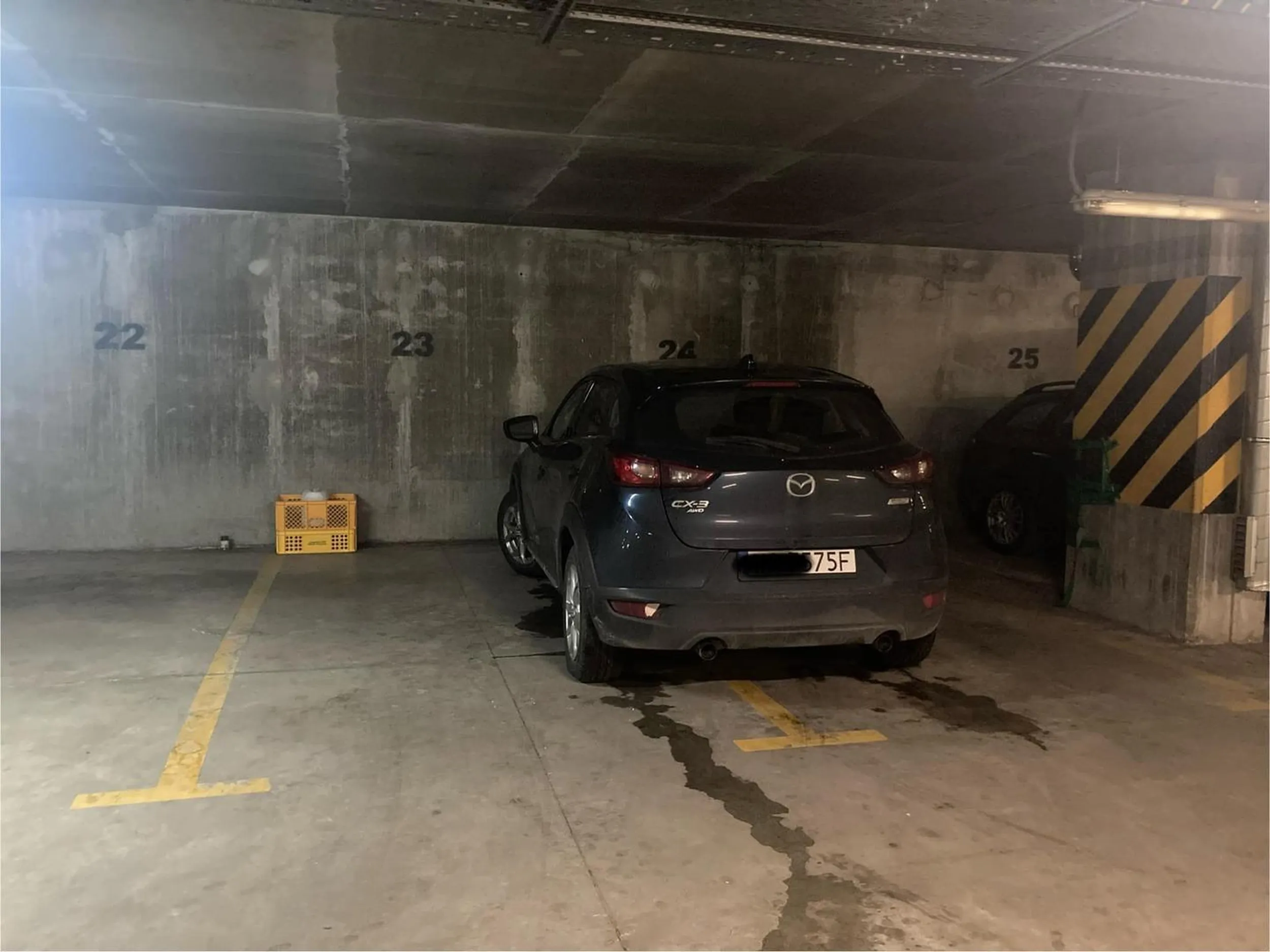 Nie potrafi parkowac osioł!!!