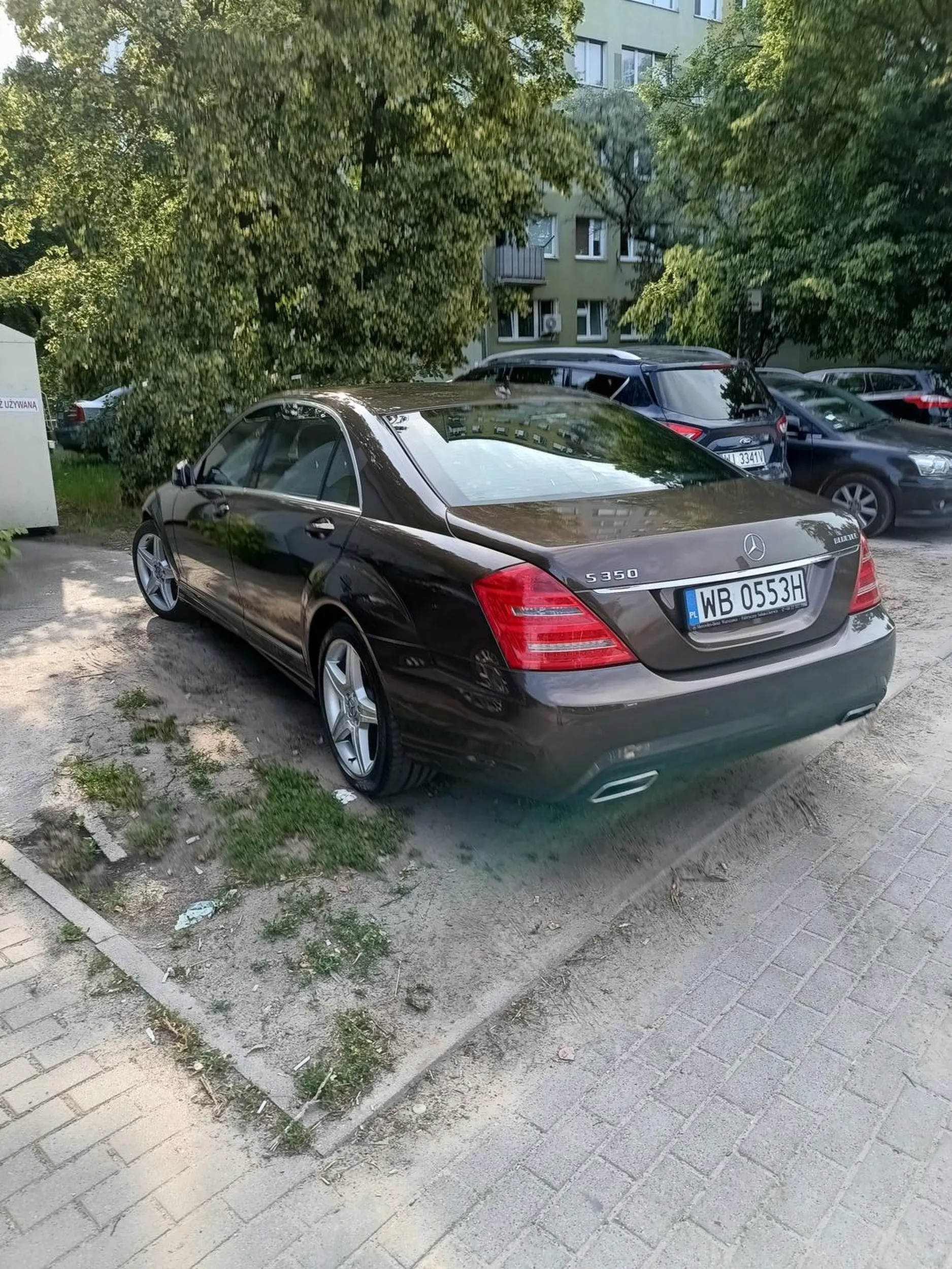 Cham parkuje na zieleni miejskiej, niszczy trawnik, butami wydeptuje w psie kupy . Lubi gówno.