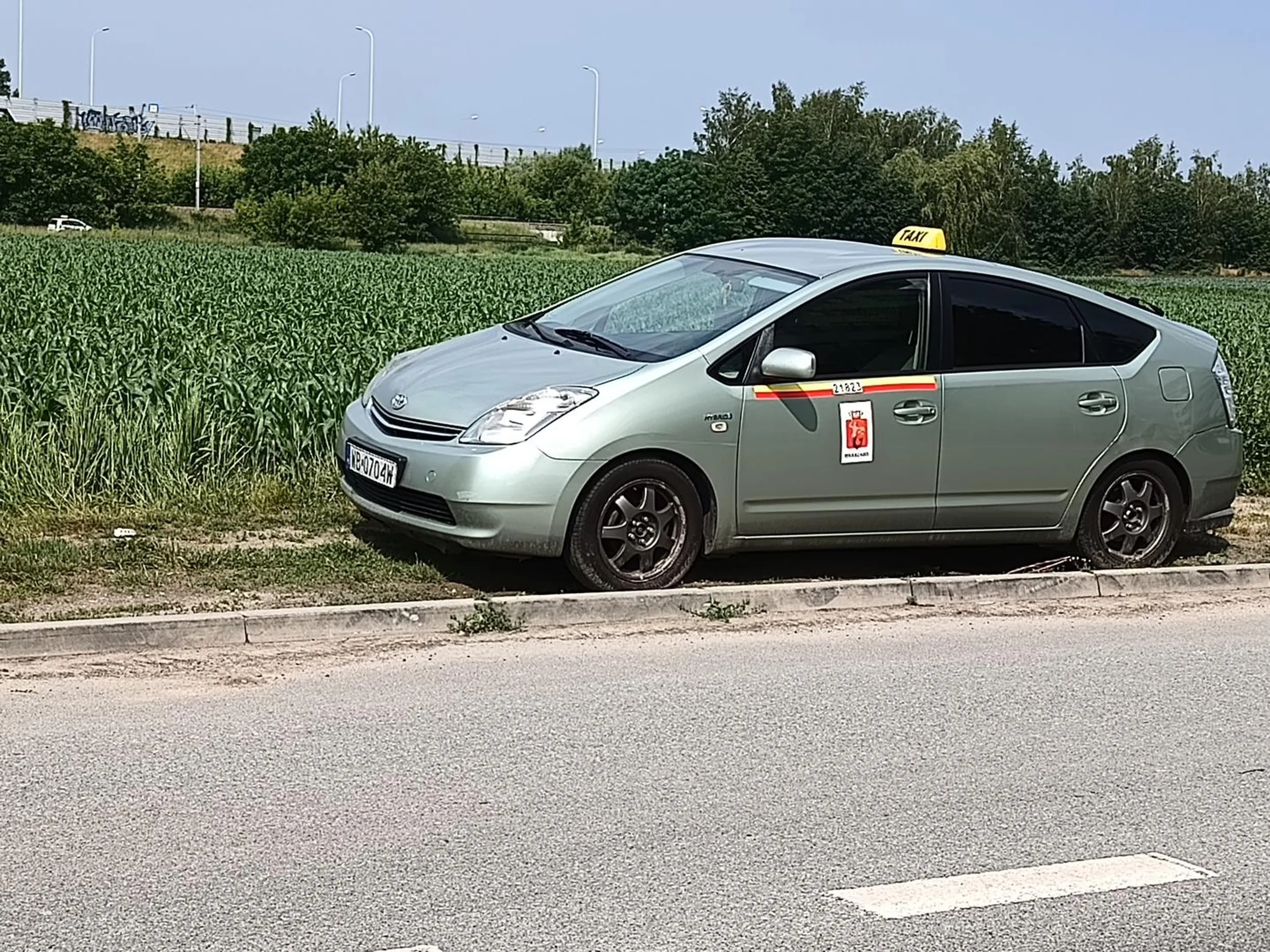 ..ujek z Gruzji lub Czeczenii lub Azji niszczy zieleń miejską i parkuje na trawniku na ulicy gdzie jest zakaz zatrzymywania się i postoju