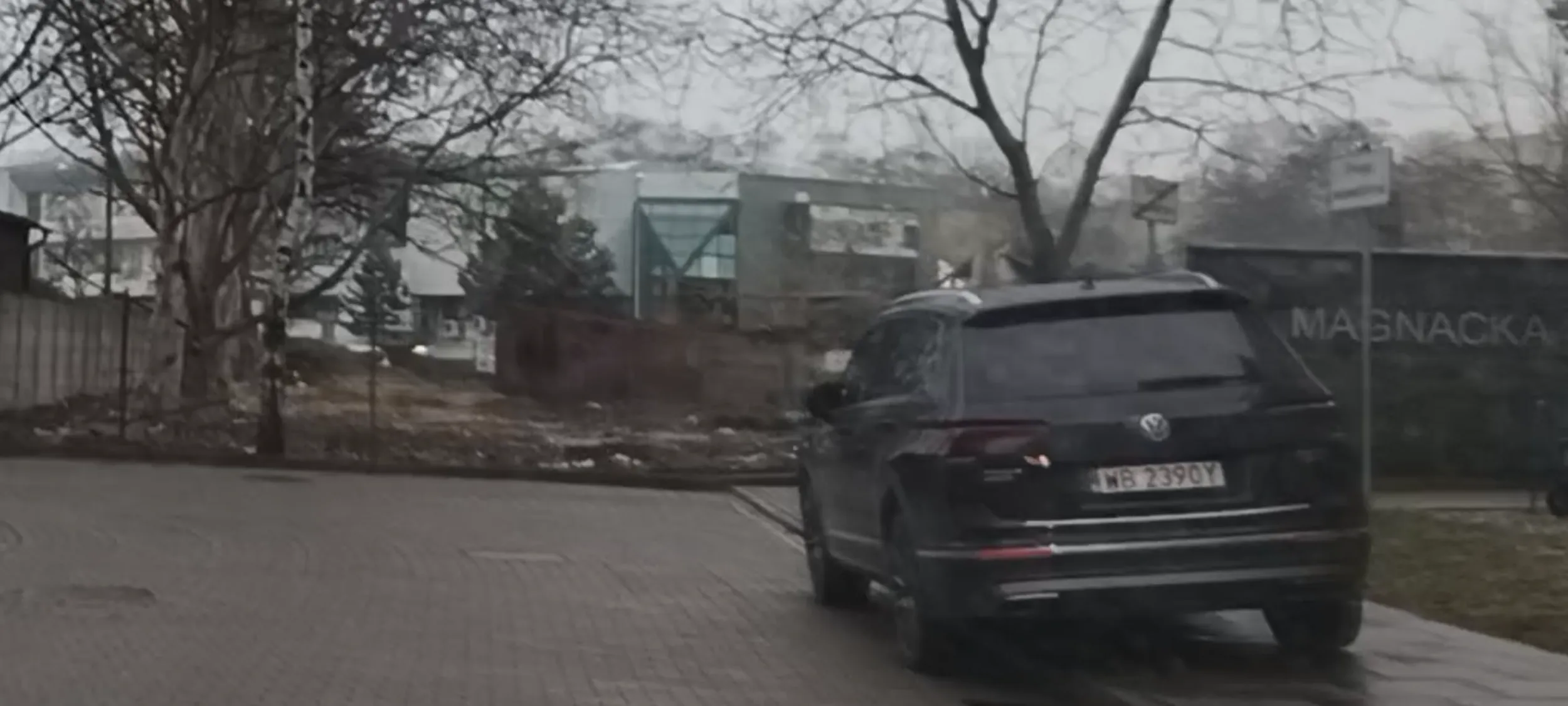 Ameba parkingowa stoi na chodniku i na ulicy gdzie jest zakaz zatrzymywania się i postoju