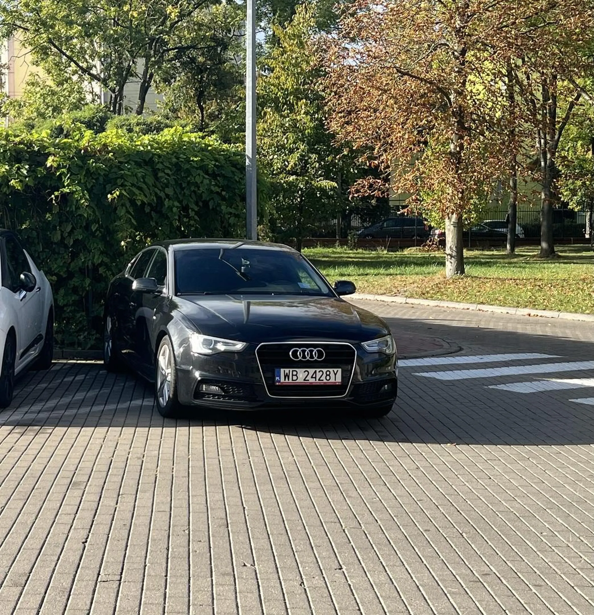 Baran zasłania widoczność pieszych na pasach i staje w miejscu wyłączonym z ruchu.