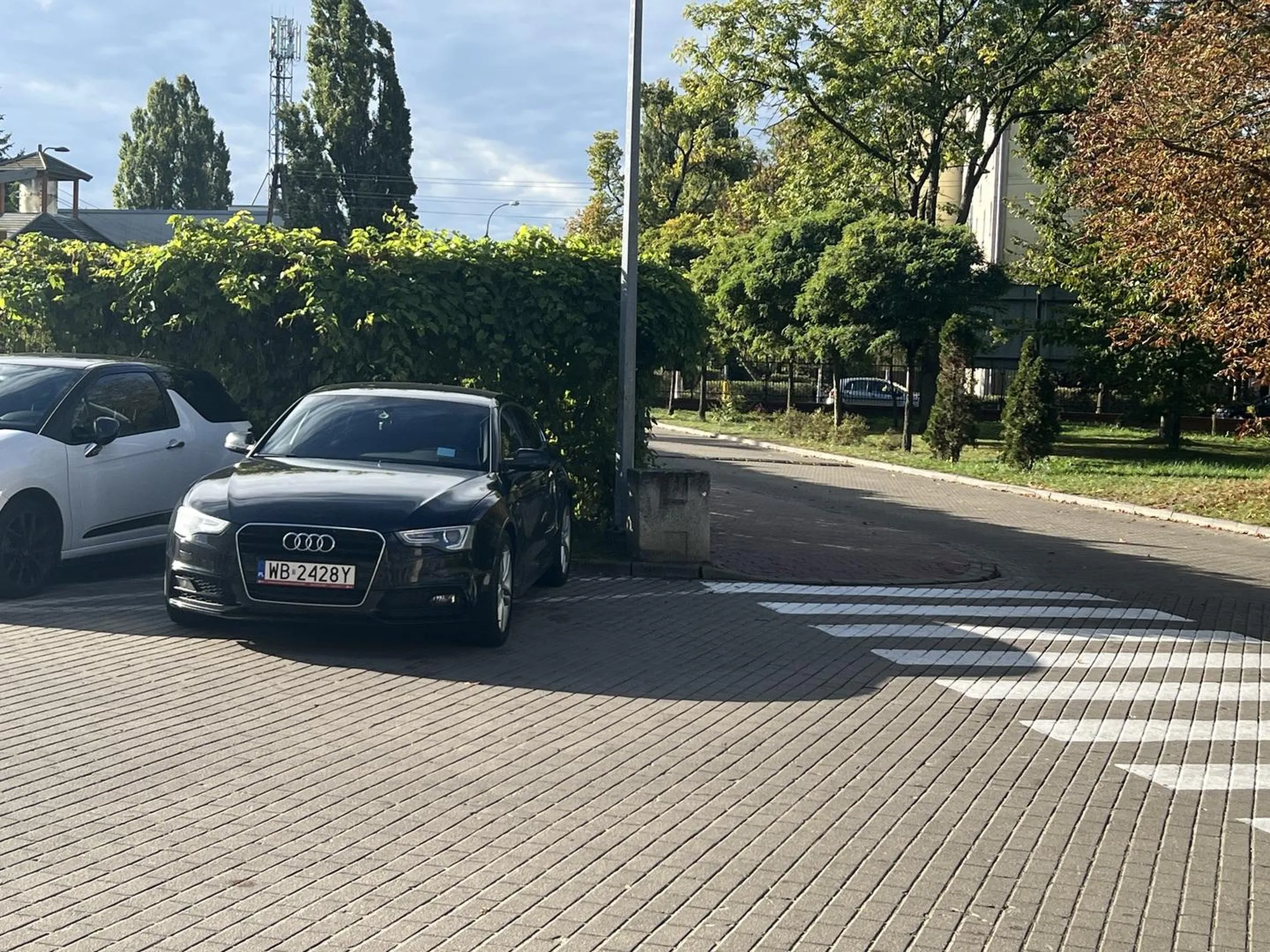 Baran zasłania widoczność pieszych na pasach i staje w miejscu wyłączonym z ruchu.