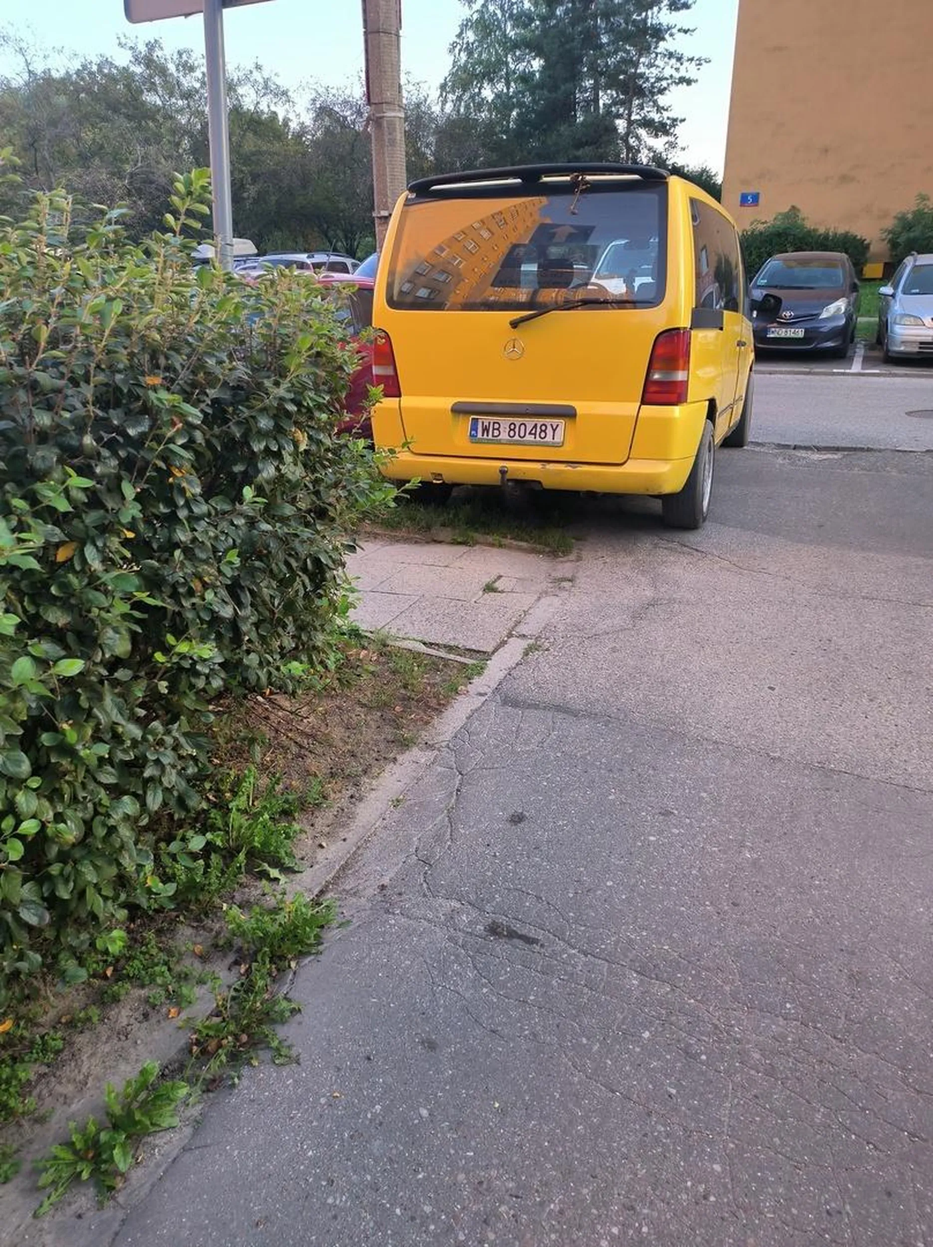 Mistrz parkowania na trawniku