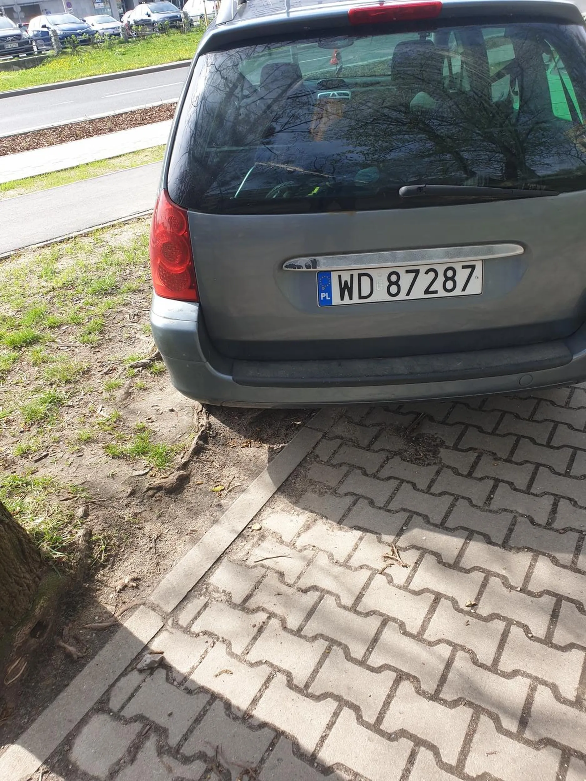Burak parkujący na trawniku