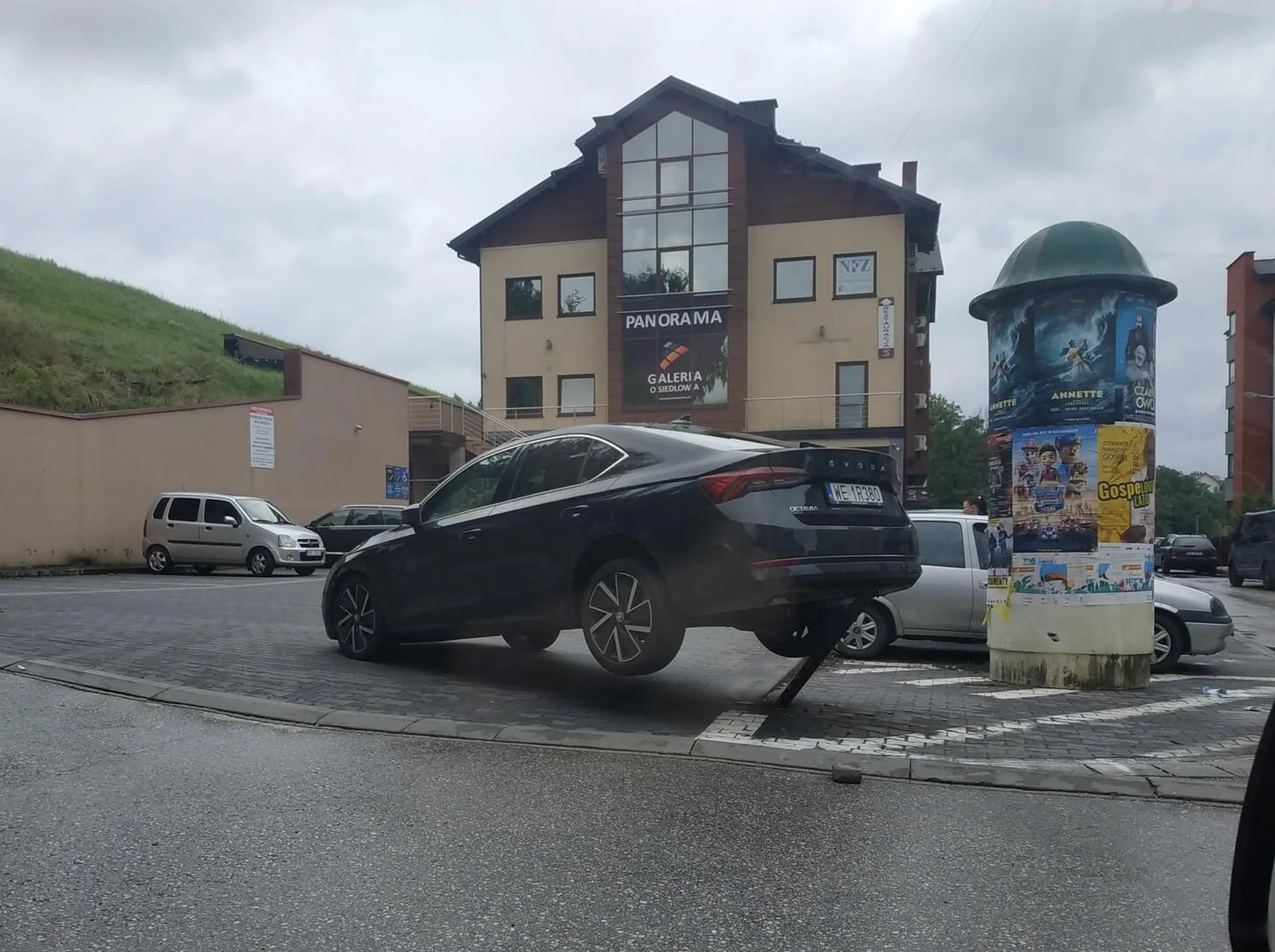 Parkowanie to jej specjalność