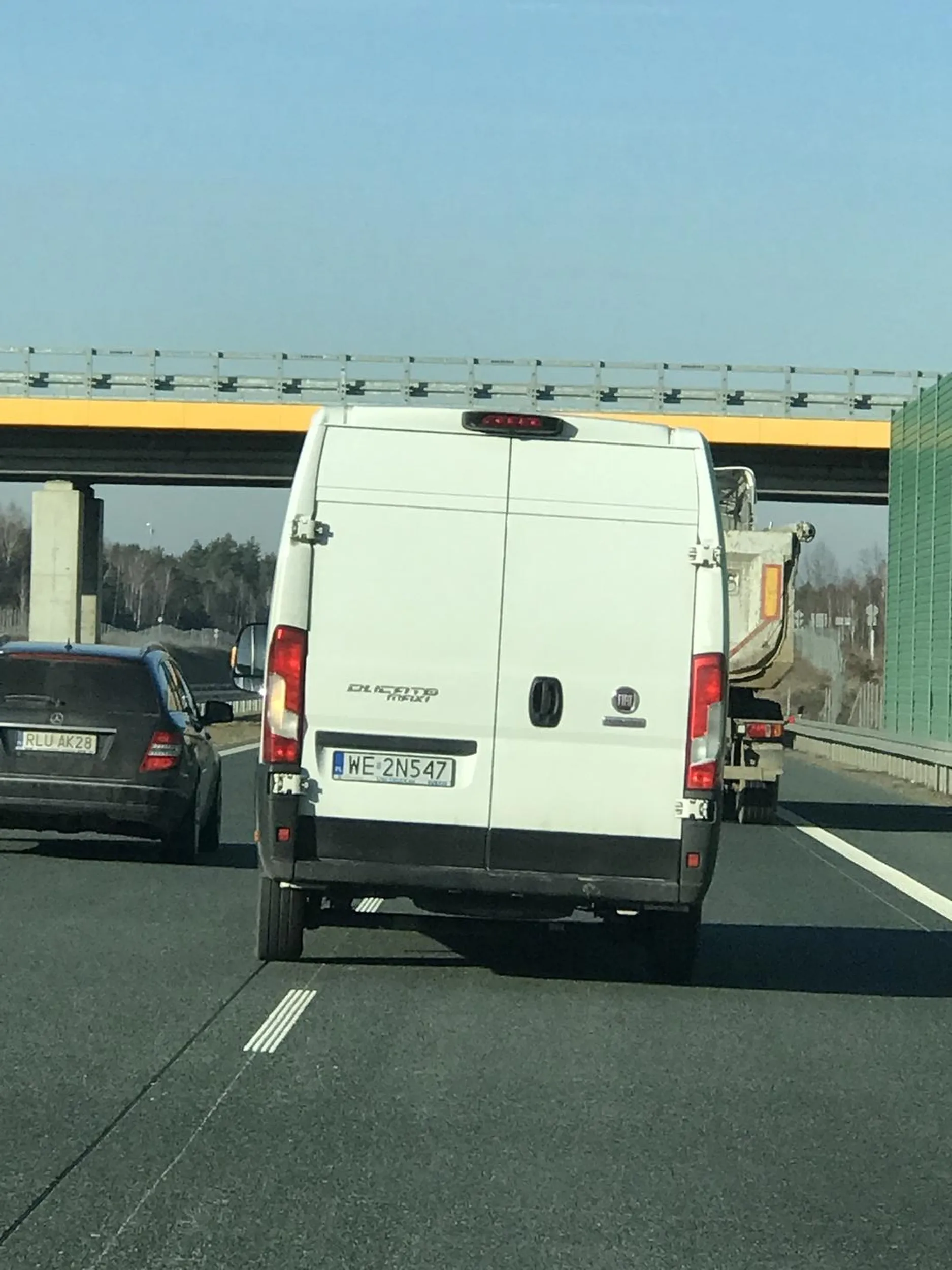 maly siurek nadrabiany niedorozwinietymi skillami na ulicy. szkoda cie