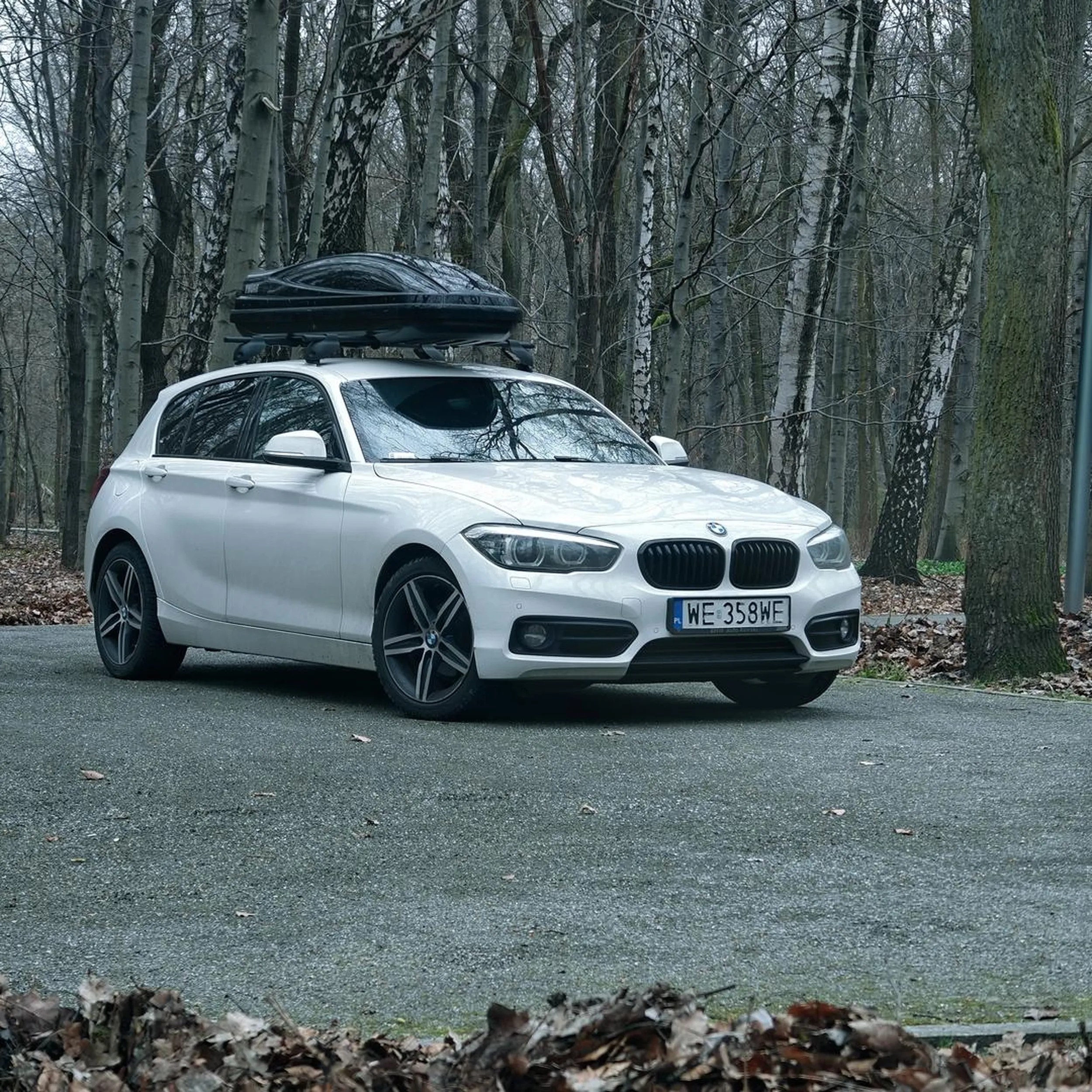 Alejki parkowe buraku nie są od tego by parkować na nich swój samochód, szczególnie że praktycznie cały parking wzdłuż drogi był pusty...