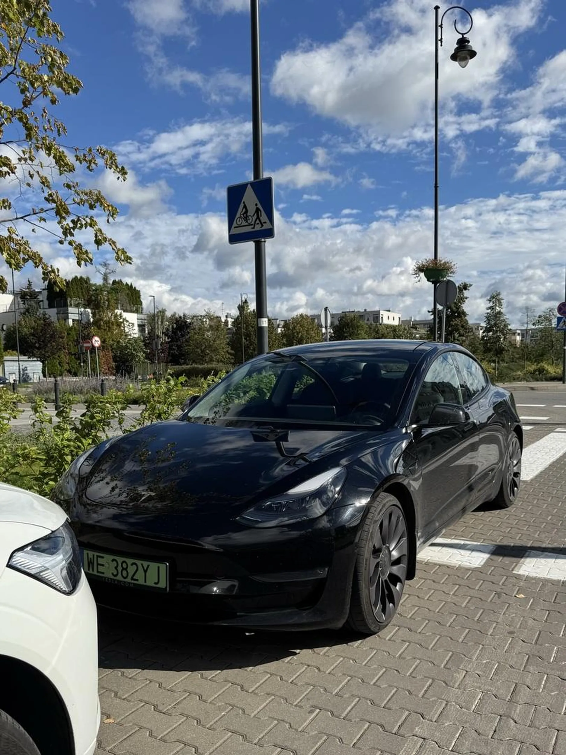 Wjazd mimo zakazu (jednokierunkowa), jazda pod prąd i parkowanie na pasach.