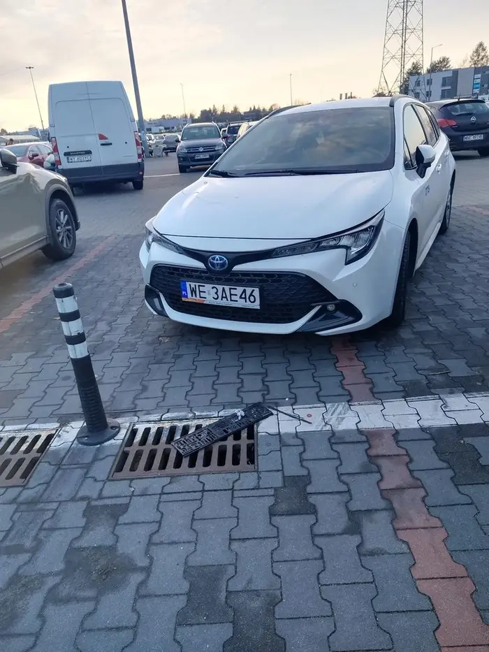 mistrz parkowania ,prawo jazdy w chipsach wygrane