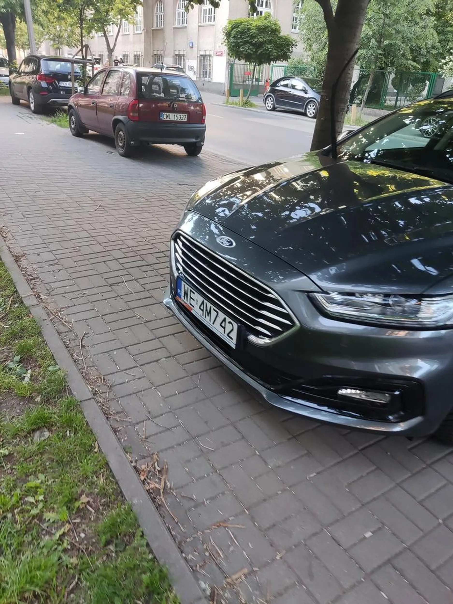 Kretyn i nic więcej