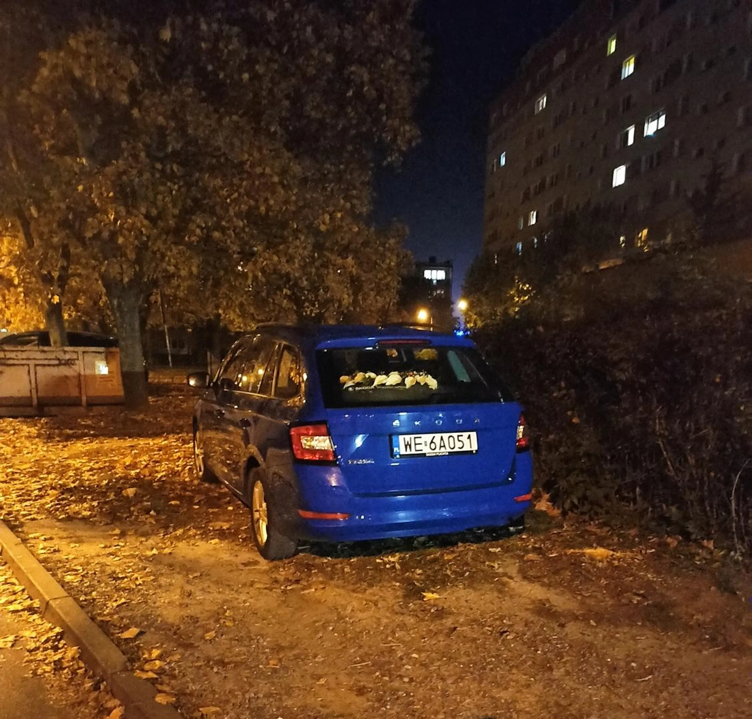 Przyjeżdża słoik z Warszawy do Piotrkowa Trybunalskiego i dewastuje trawniki!!!