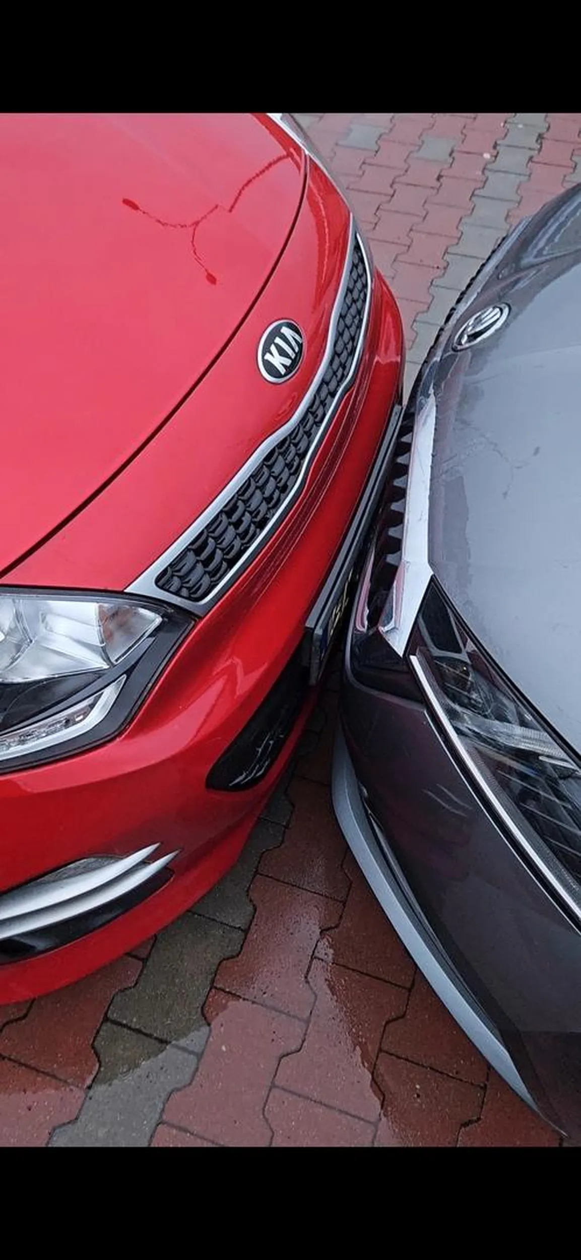 Piękne parkowanie kasztanie.