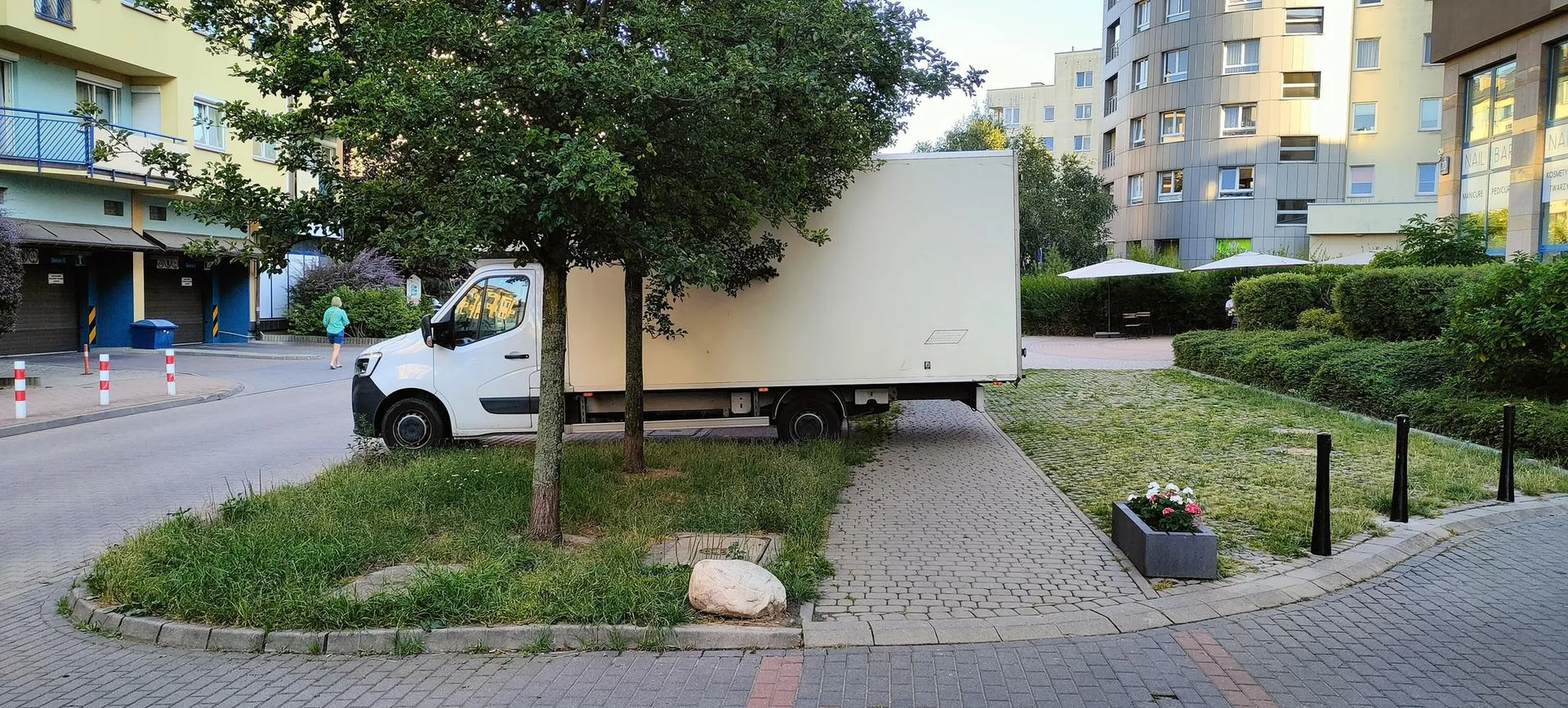 Miszcz parkowania z prawkiem z Laysów