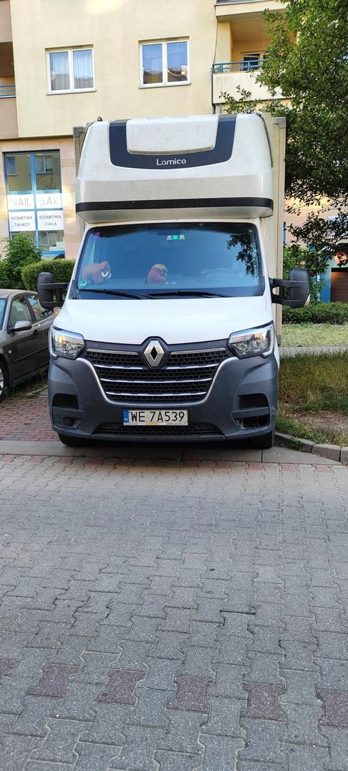 Miszcz parkowania z prawkiem z Laysów