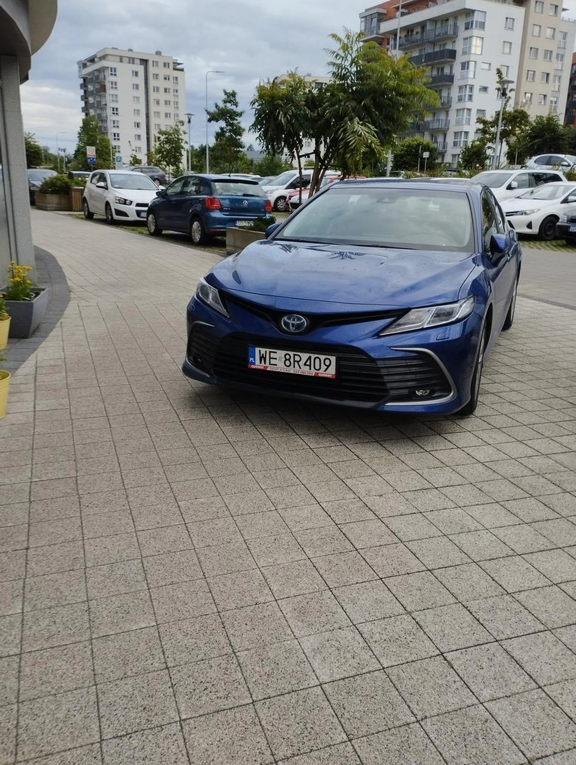 Do klatki trzeba było wjechać w Gdańsku.