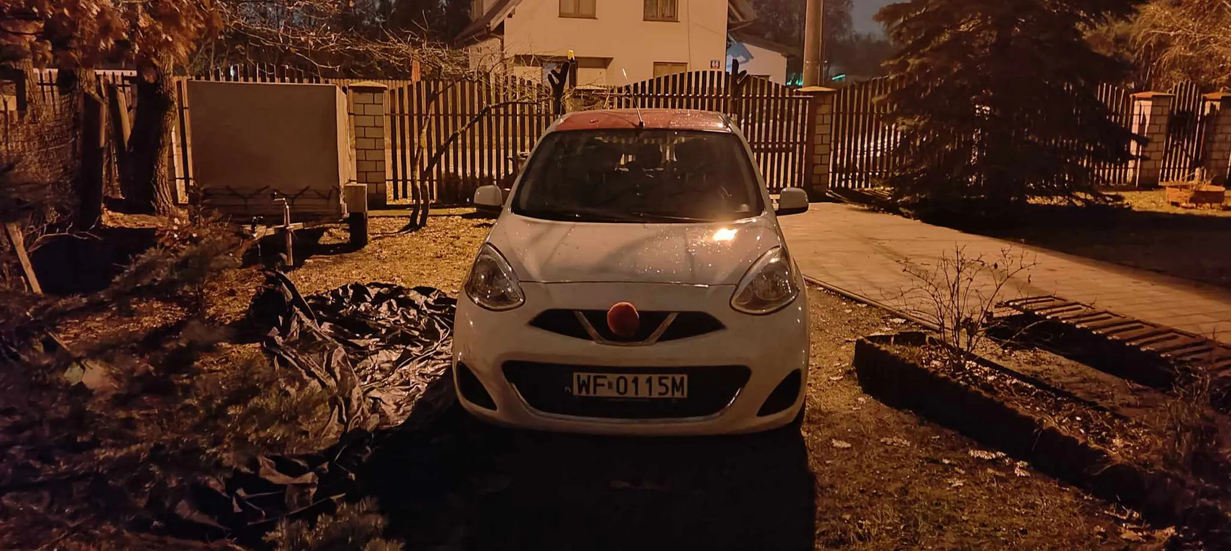 GORĄCY RENIFER W TWOJEJ OKOLICY