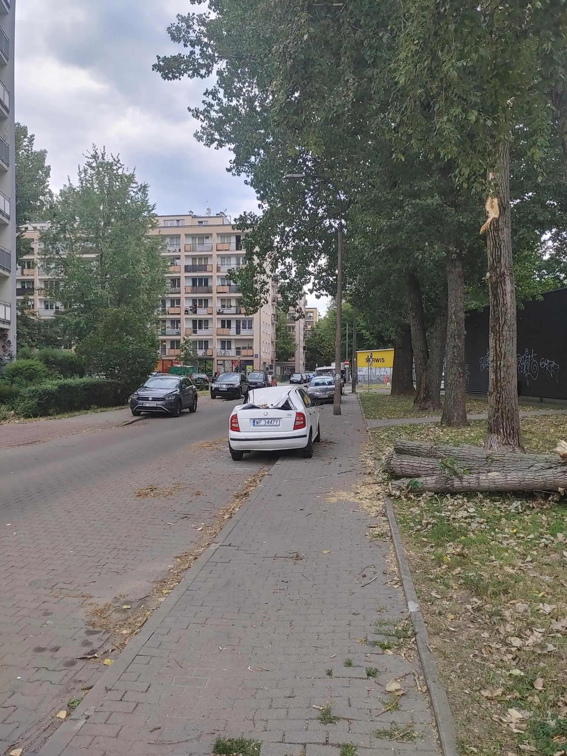 O chłopie, żal samochodu.