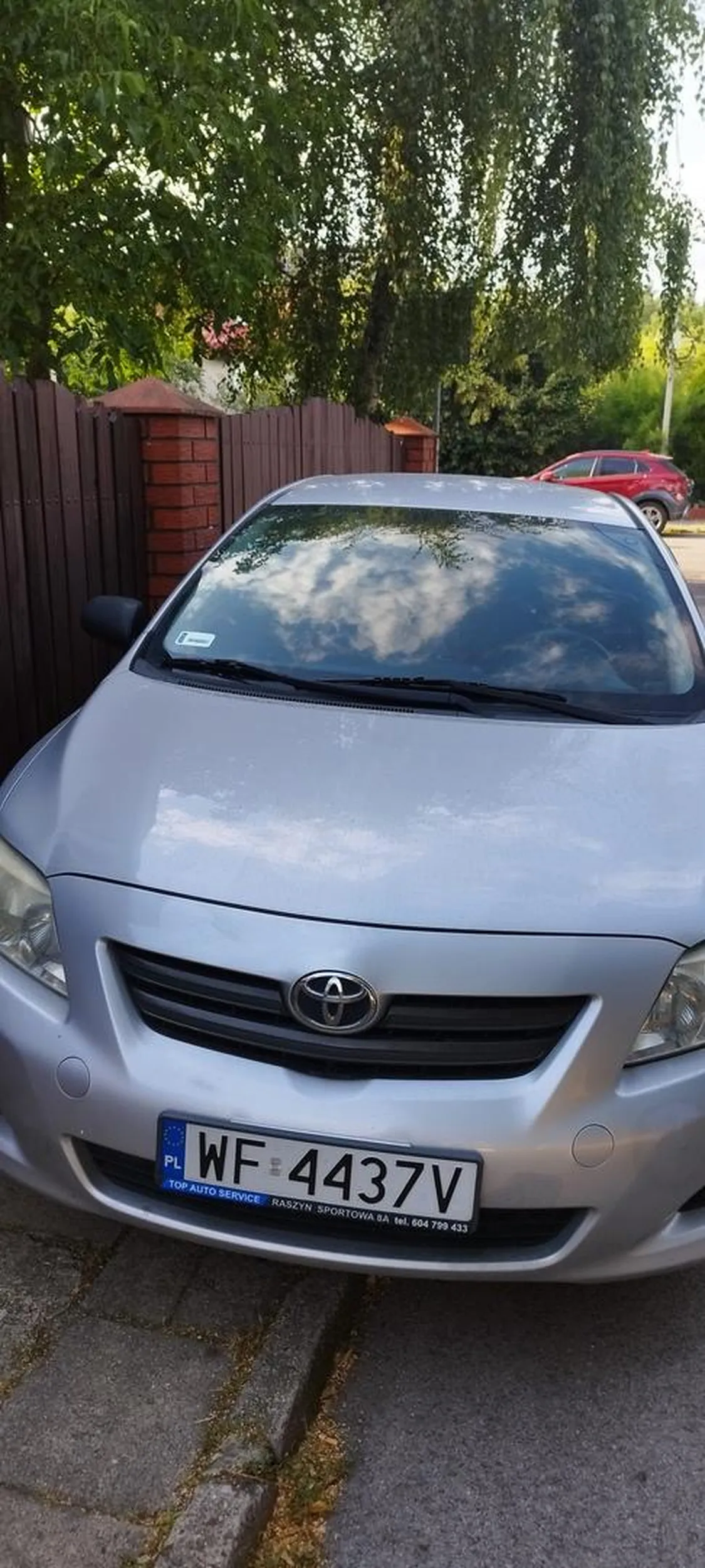 Święta krowa zastawiła wjazd do mojego garażu