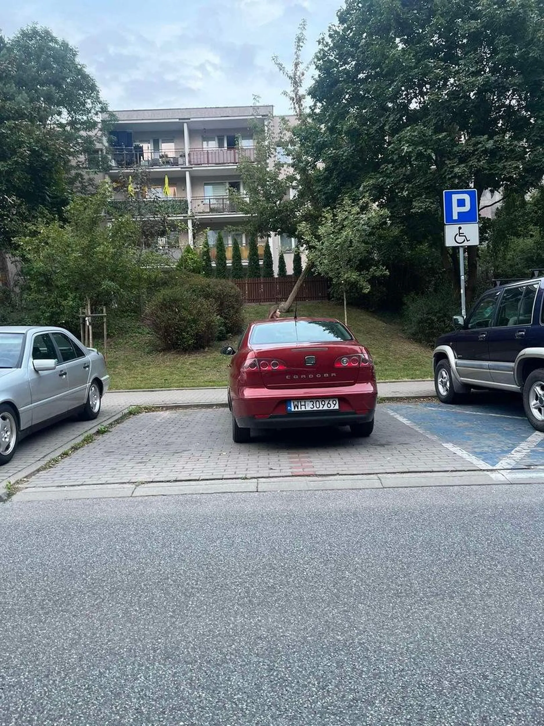 Mistrz parkowania, w poprzek stań najlepiej