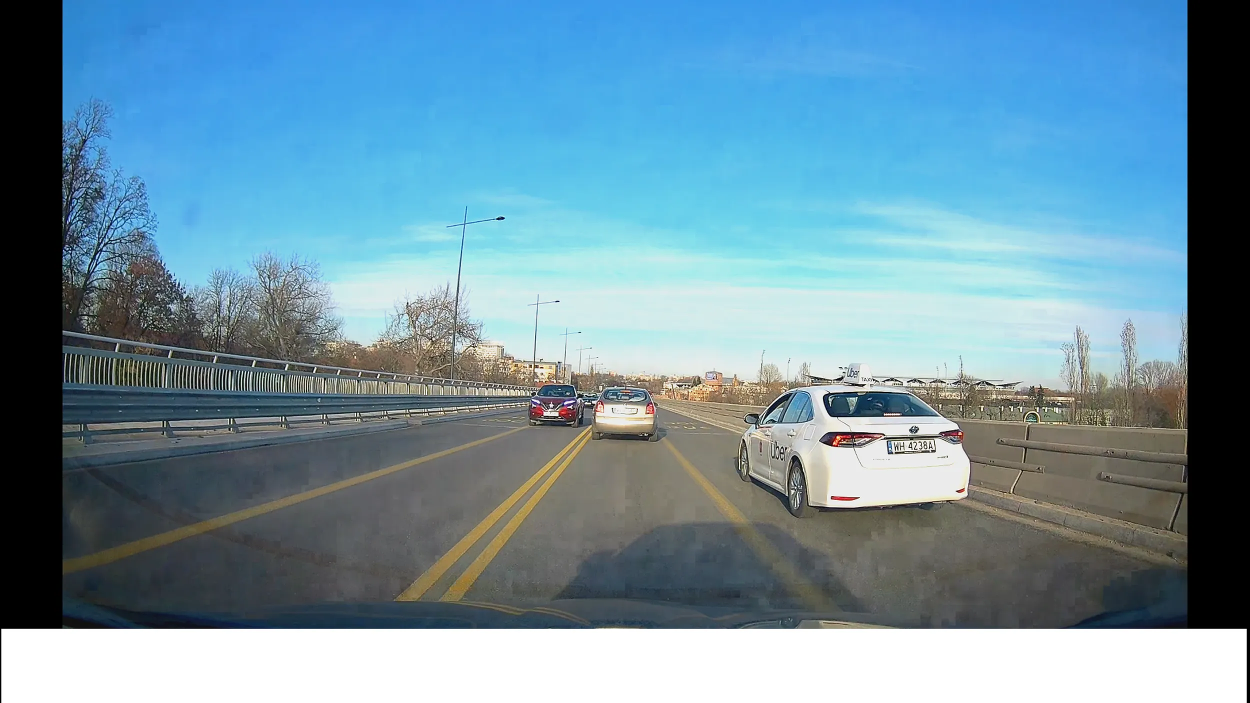 patola zlotowa w akcji