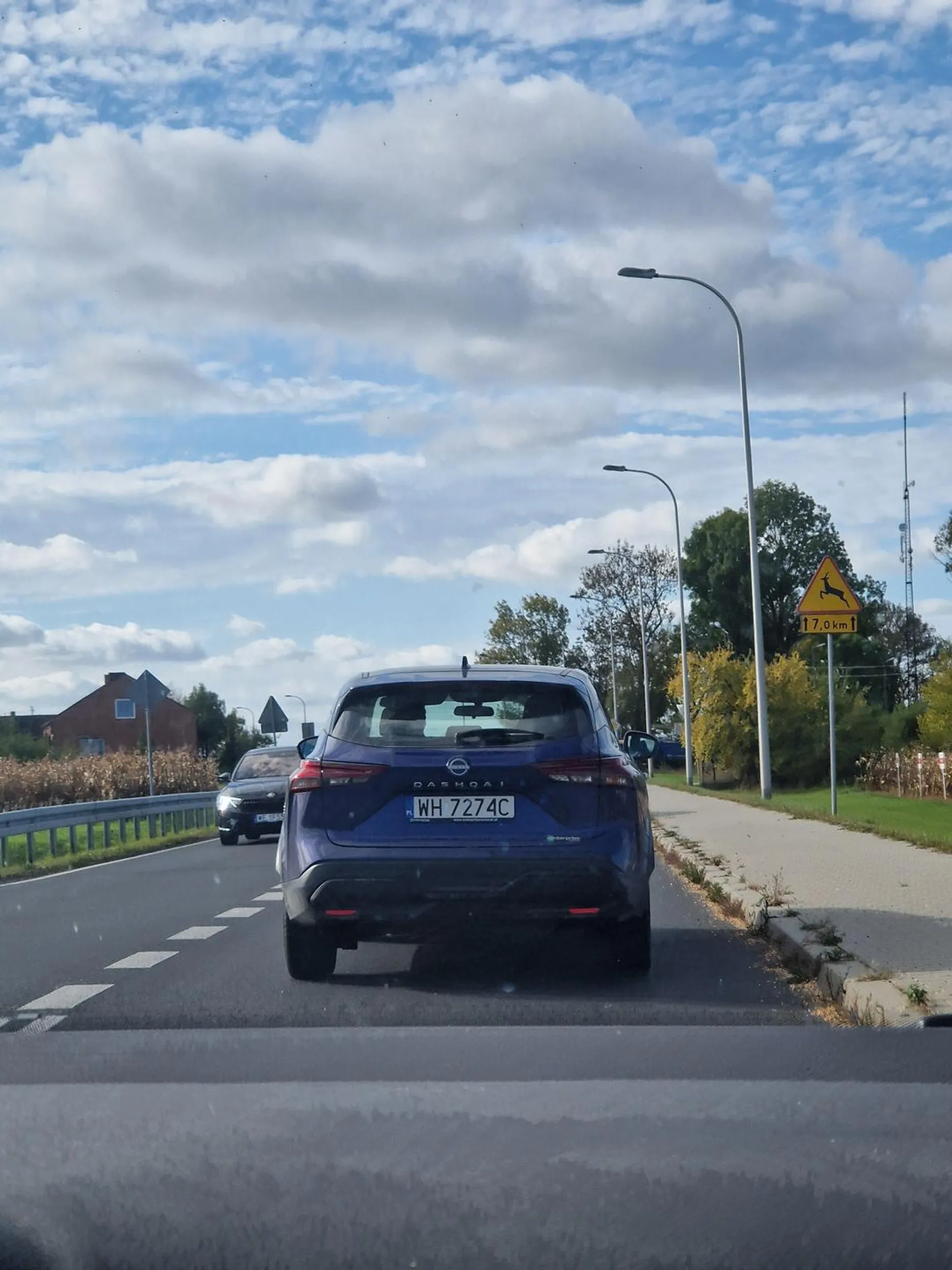 Zawalidroga i pirat w jednym. Rozpędza się i później gwałtownie hamuje żeby zrobić zdjęcie krajobrazu. Co więcej nie da się wyprzedzić, bo jedzie środkiem albo slalomem i przyspiesza jak tylko próbujesz. Sam wyprzedza po piracku, mimo samochodów z naprzeciwka.