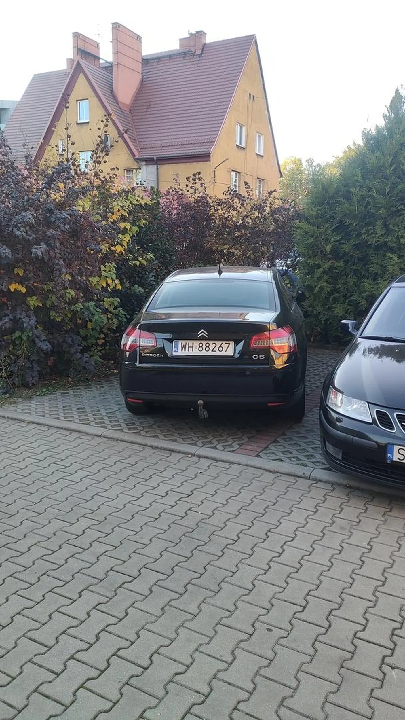 No mistrz parkowania