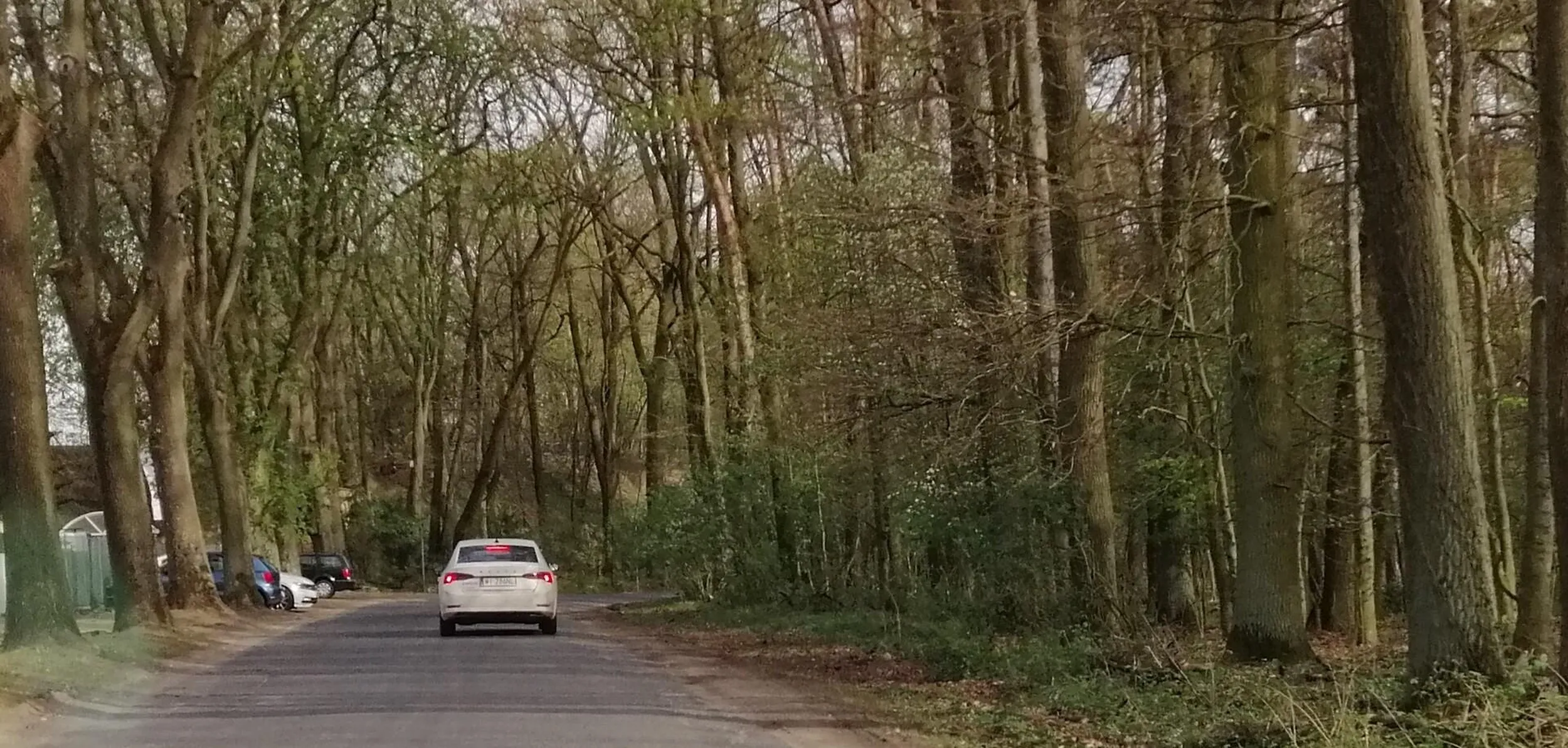 Kolejny "miszcz" kierownicy, wyprzedzający na podwójnej ciągłej, w terenie leśnym, gdzie prowadzone są roboty drogowe i obowiązuje 40 km/h.