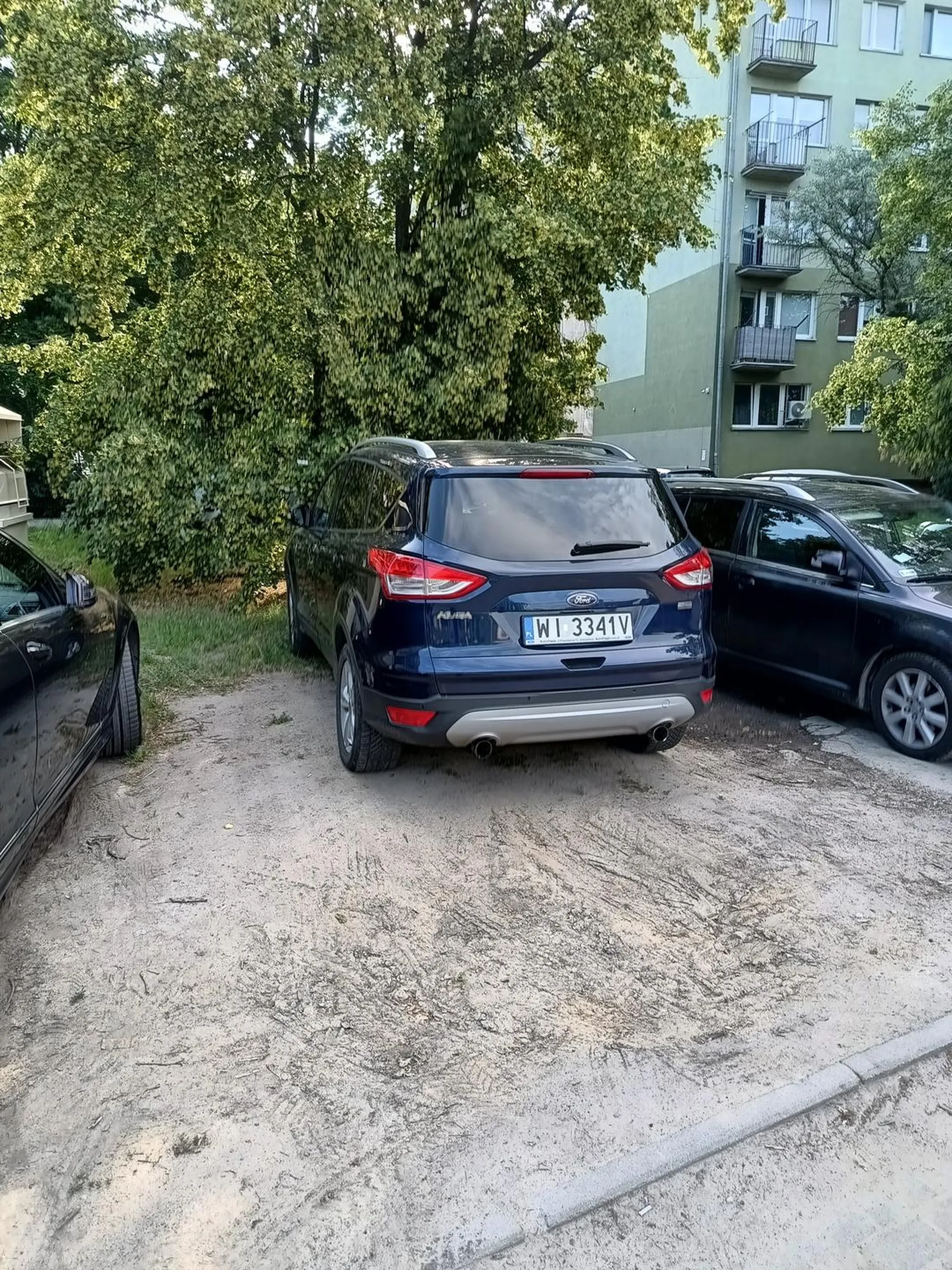 Cham parkuje na zieleni miejskiej, niszczy trawnik, butami wydeptuje w psie kupy