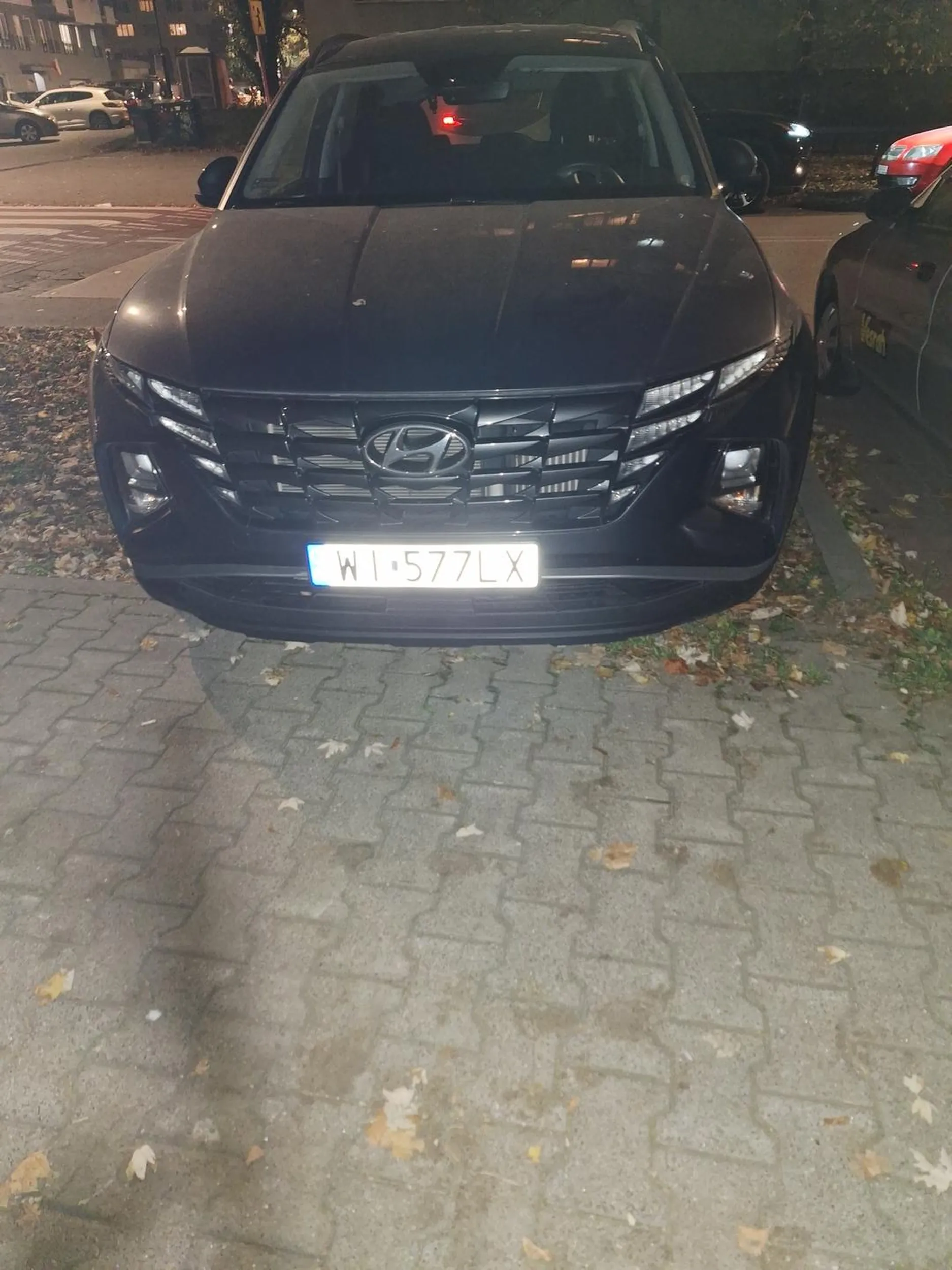 A stanę na trawniku, może nikt nie zauważy...