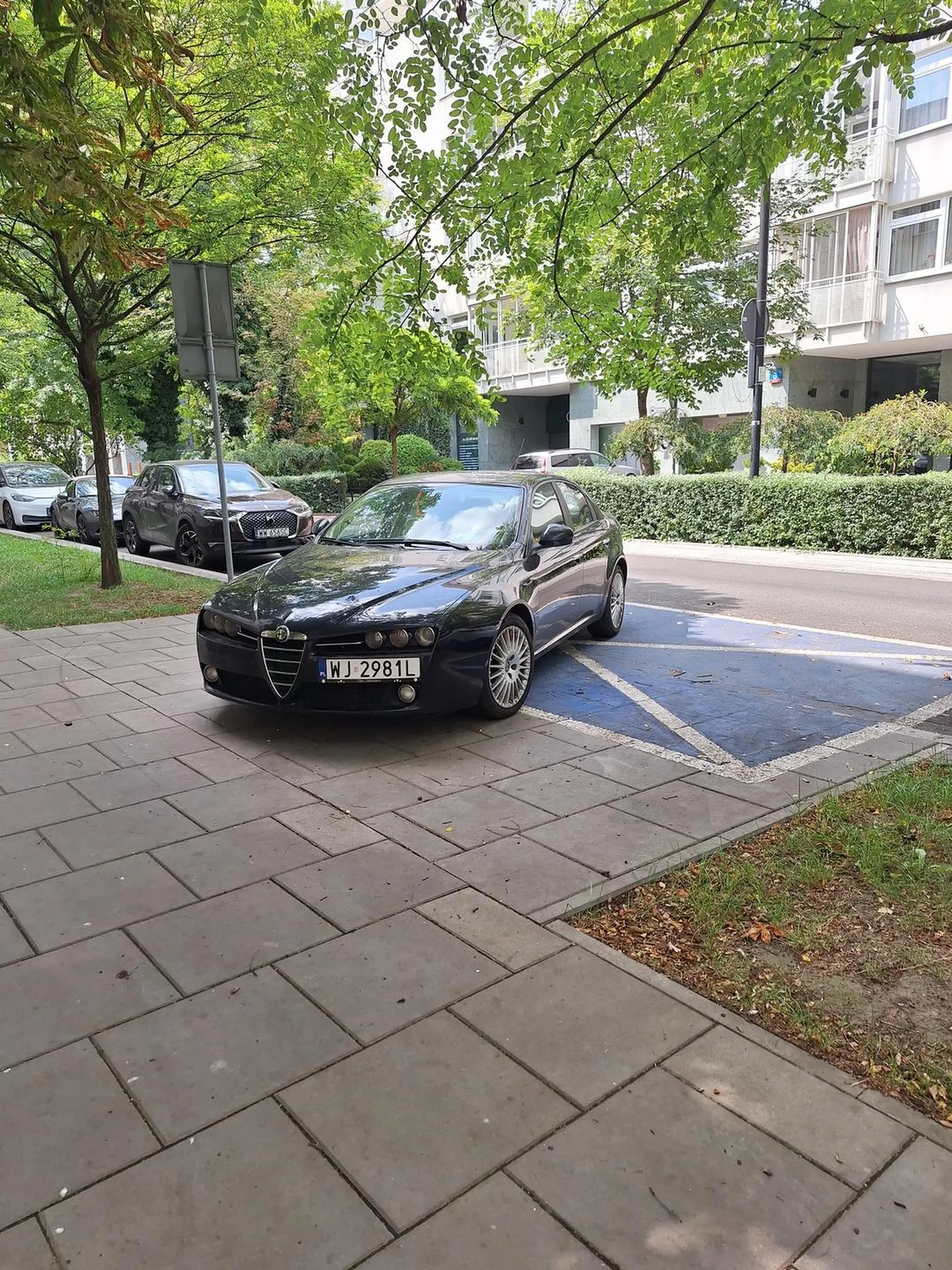 Ty ośle. Marka auta zobowiązuje.