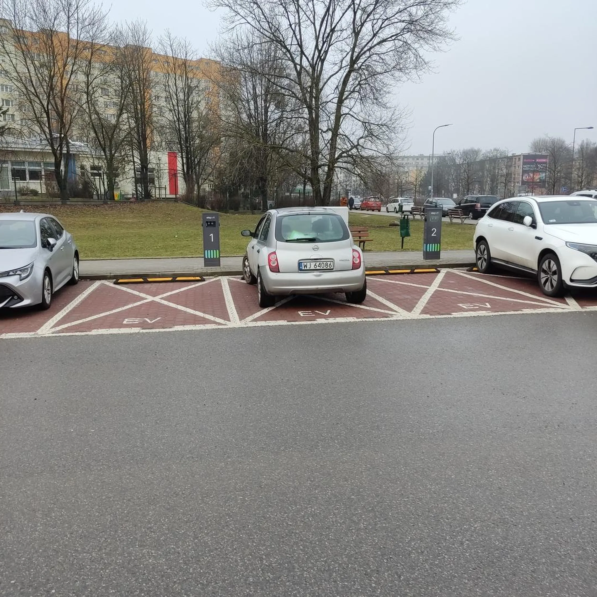 Ślepe to czy głupie?