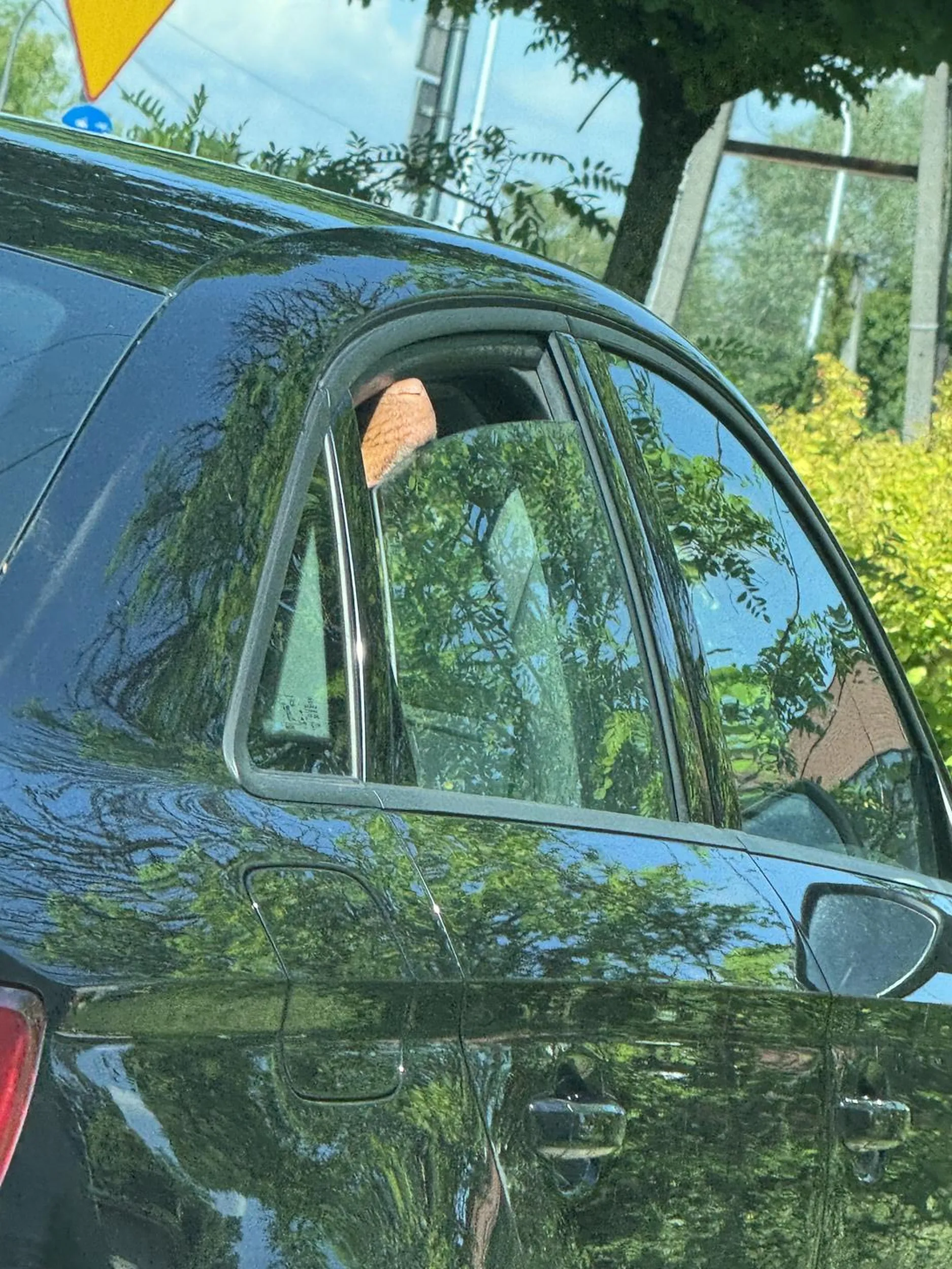 Gorąco na zewnątrz, a typ zostawia psa w samochodzie, i idzie sobie na śniadanie do kawiarni…. Brak słów. Tyle się mówi o nie zostawianiu psów w samochodach… obys kiedyś beknął za to.