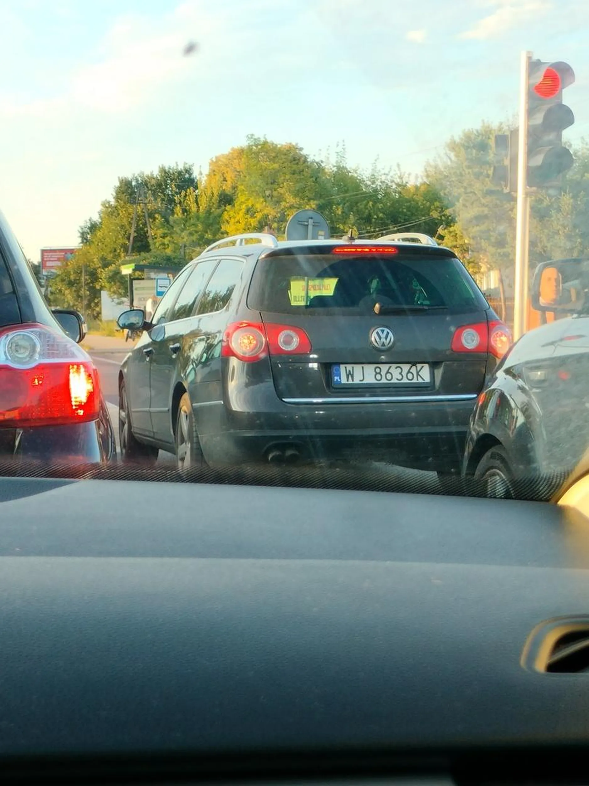 Całkowity brak mózgu i chociaż minimum wyobraźni.