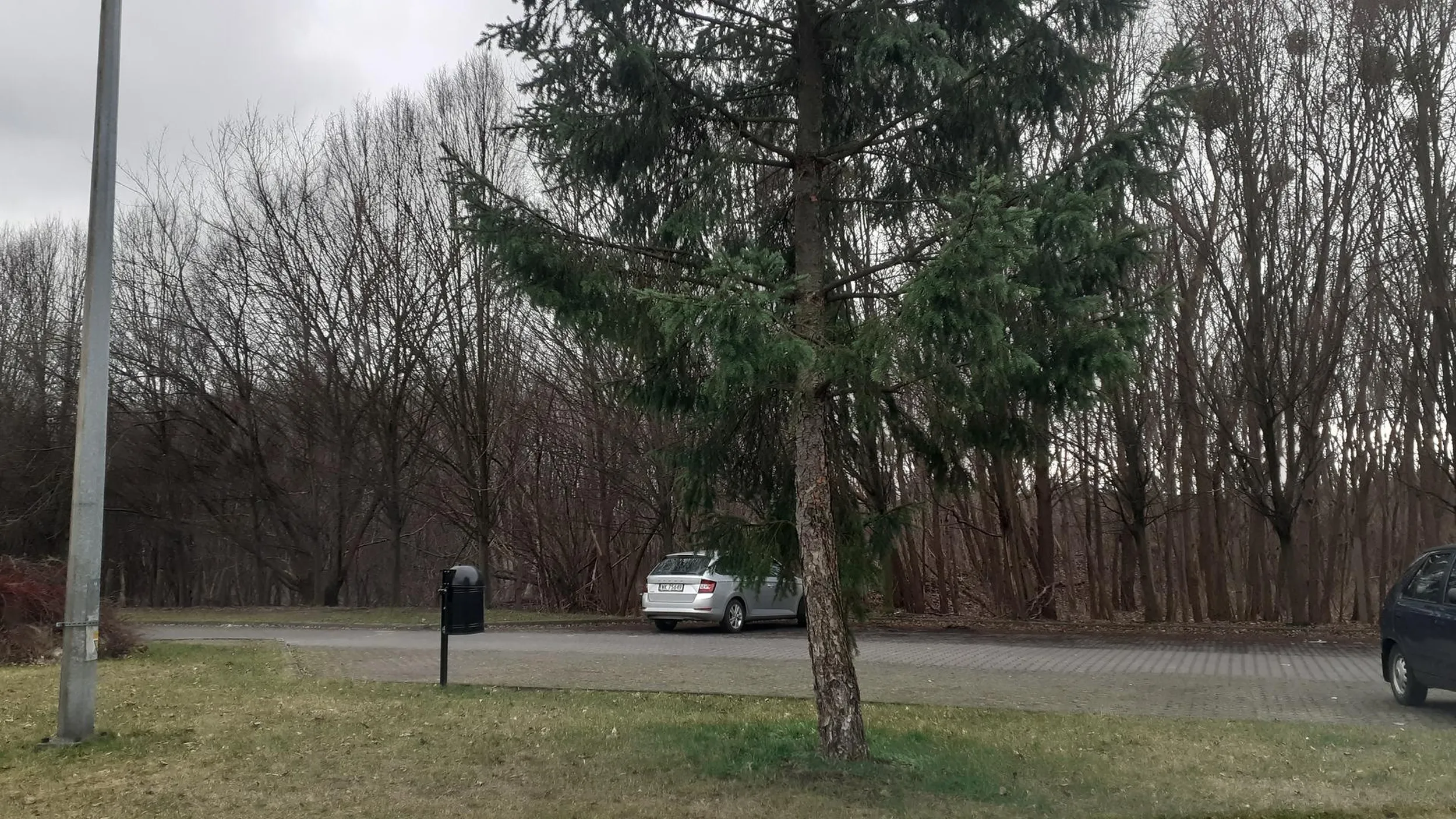 Właściciel tego auta to namolny homoseksualista często widywany w parku za parkingiem na ul. Adama Mickiewicza 19 we Wrocławiu.