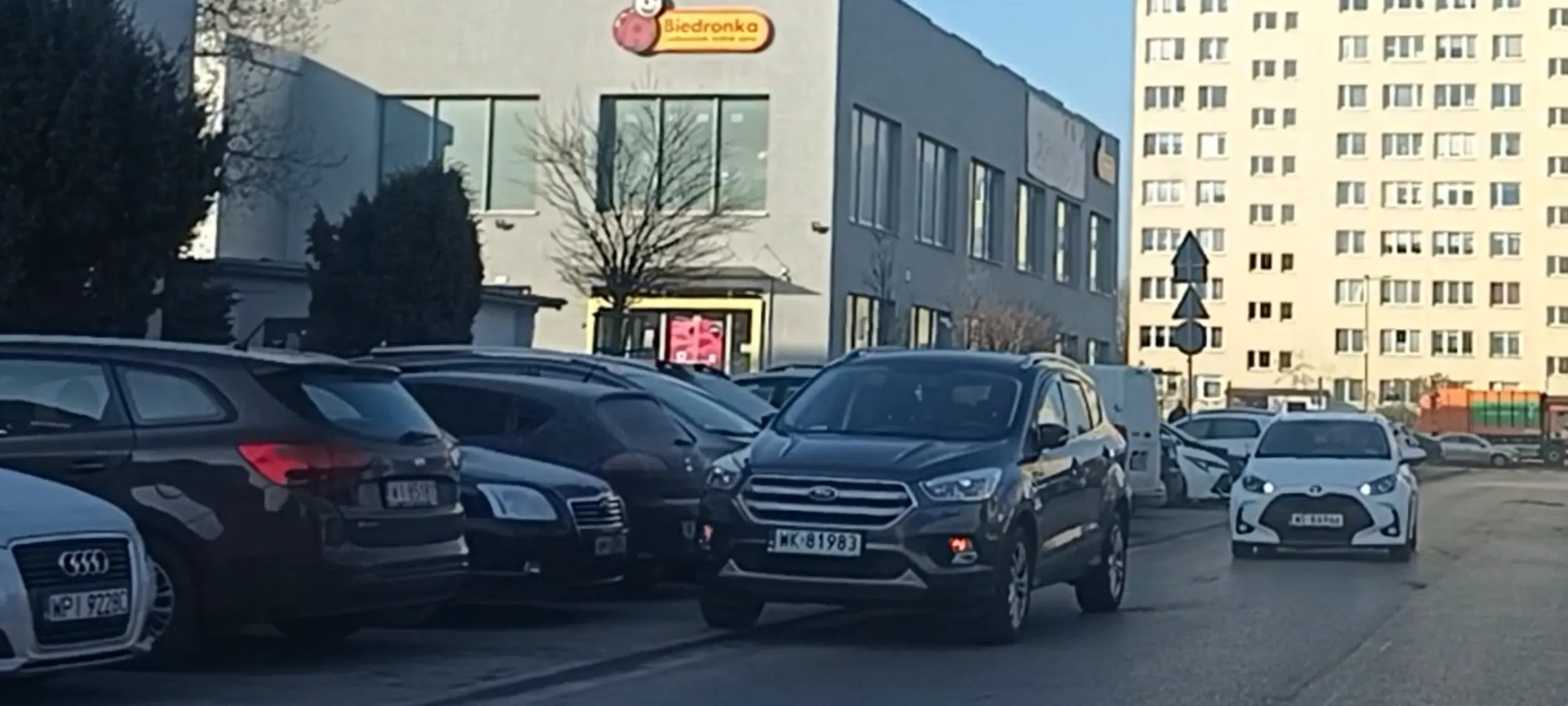 Baran stoi jak zwykle na ulicy i blokuje przejazd autobusom miejskim i innym kierowcom