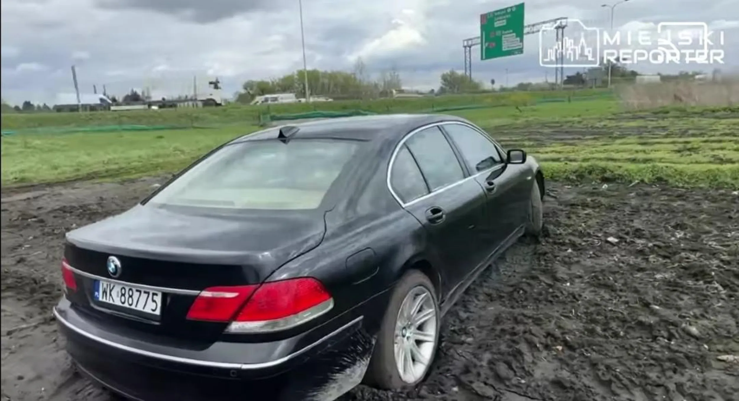 Ty kasztanie zaparkowałeś na moim polu