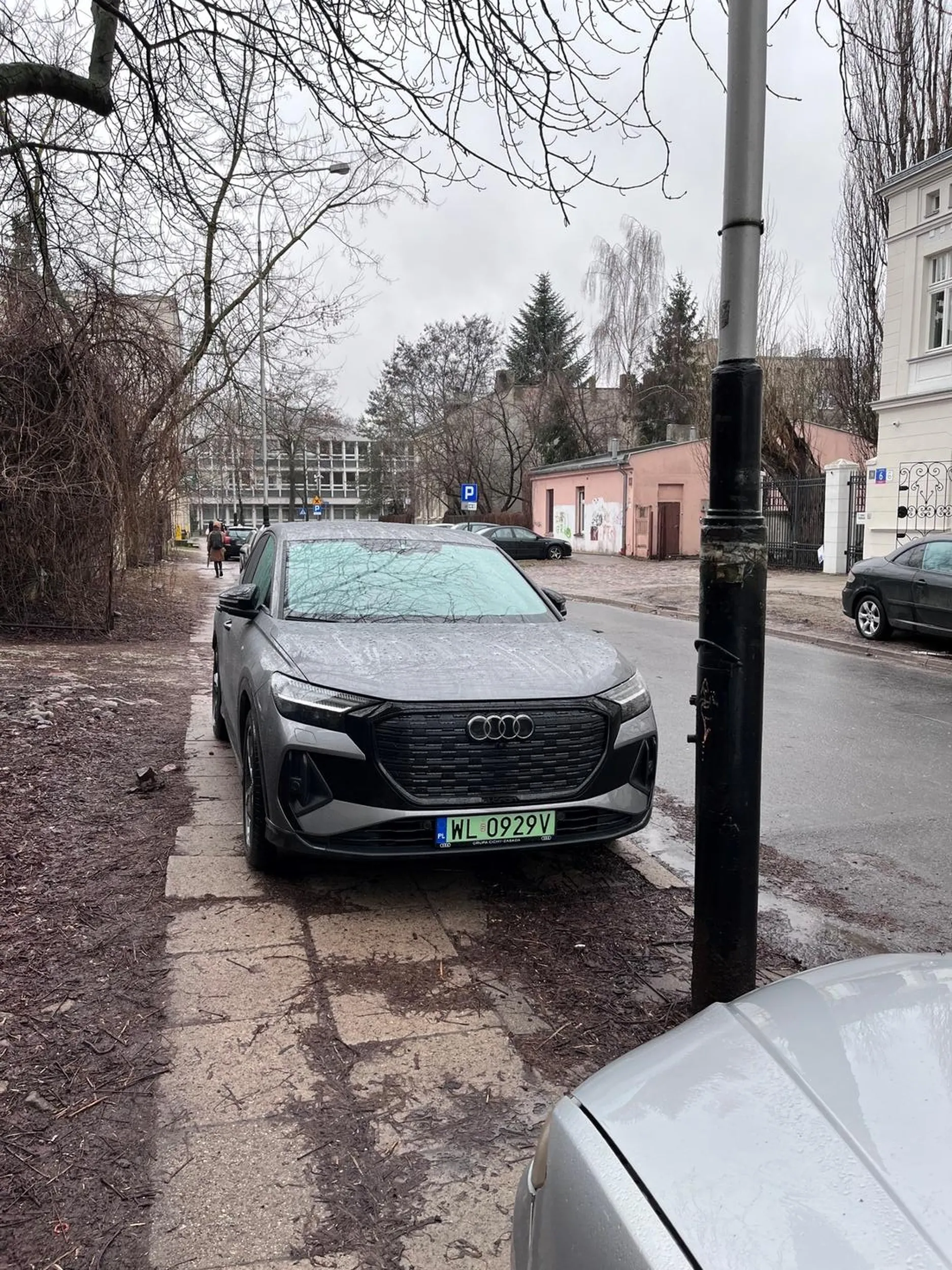 Naucz się gamoniu parkować.