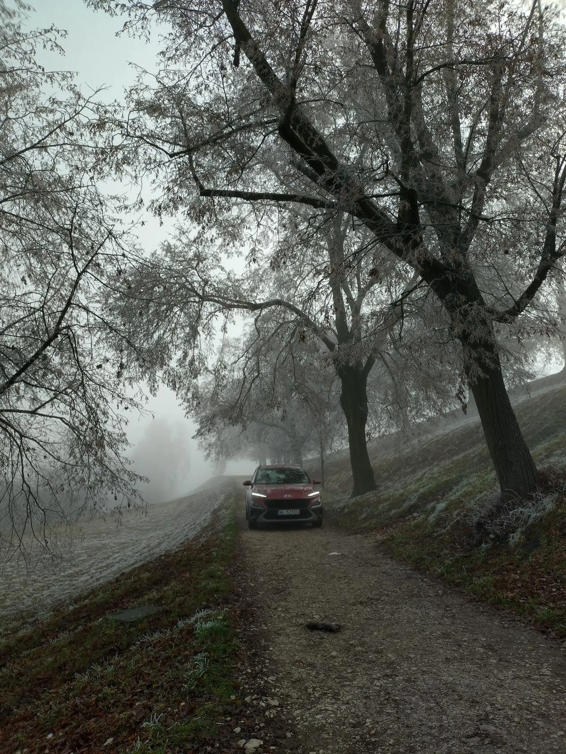 Mimo zakazu wjazdu, wjechał na teren parku pod sam kopiec Krakusa! Nogi odpadną od kilku minut spaceru?