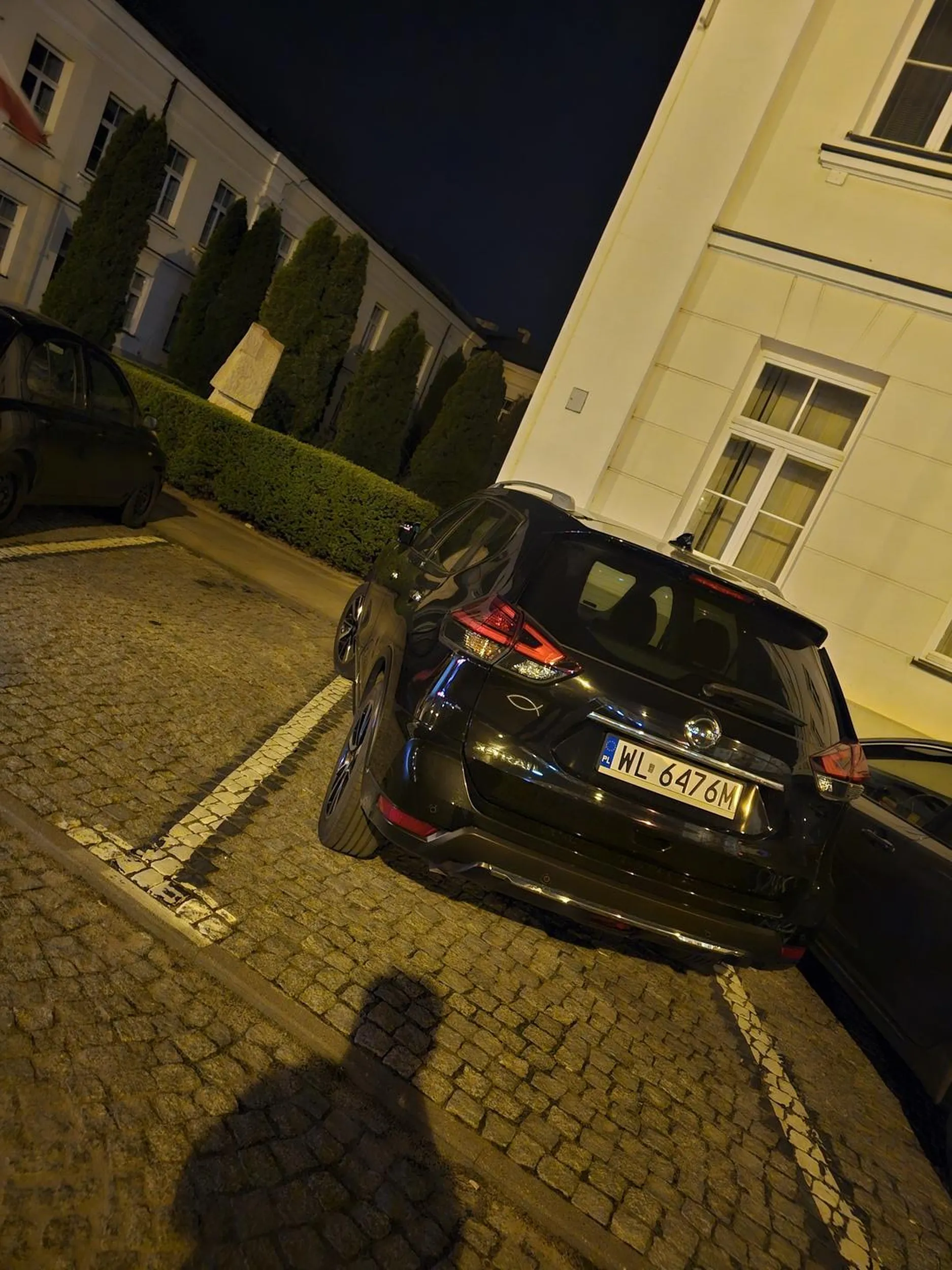 Naucz się parkować palancie