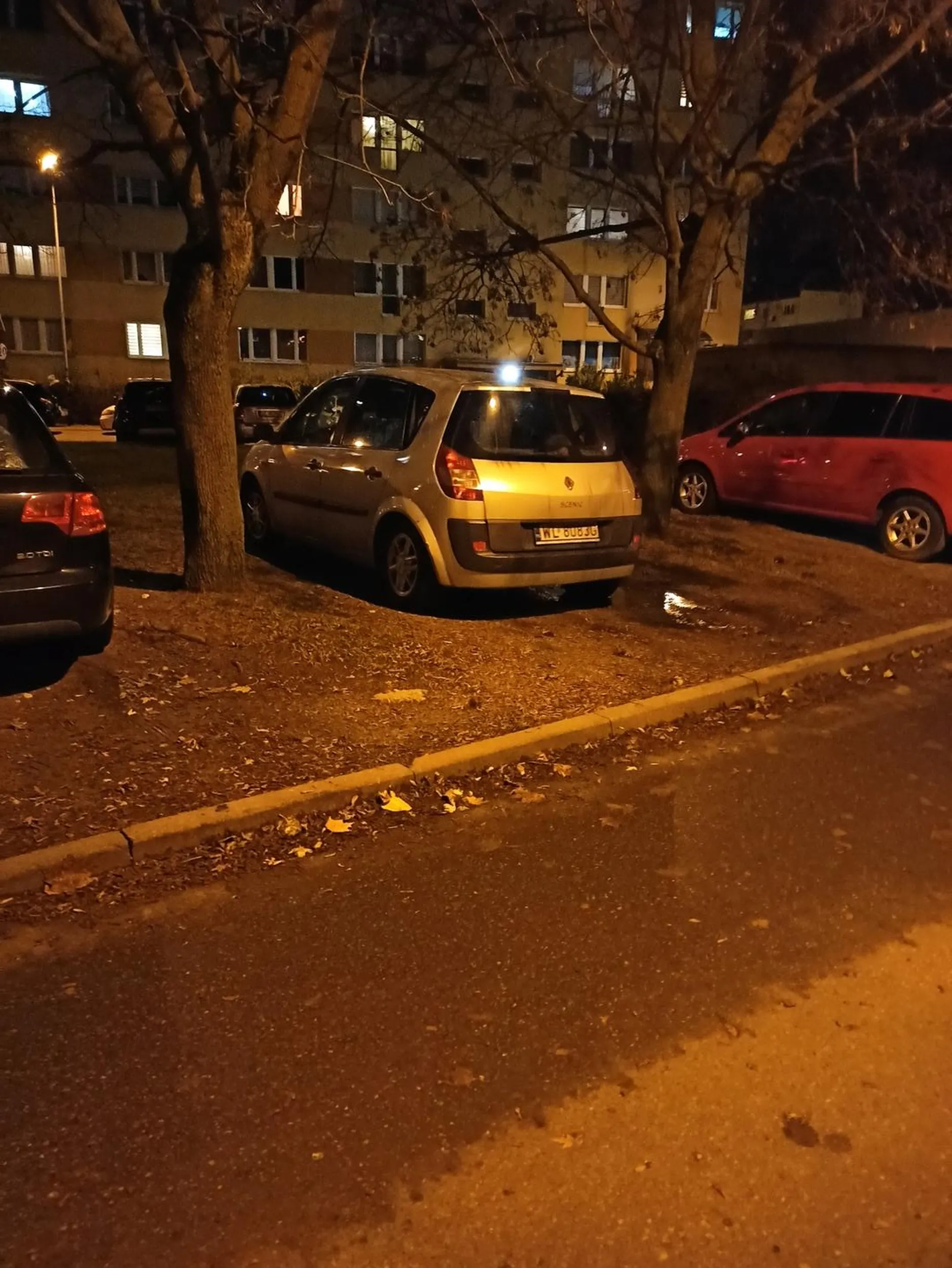 Bezczelna dewastacja trawnika w Piotrkowie Trybunalskim!