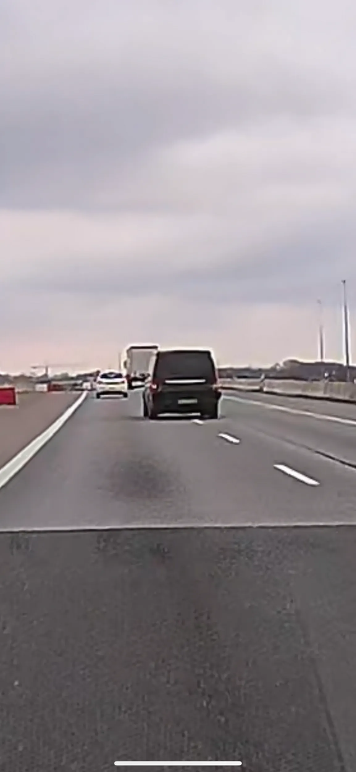 Naucz się używać kierunkowskazów i patrzeć w lusterka „święta krowo”