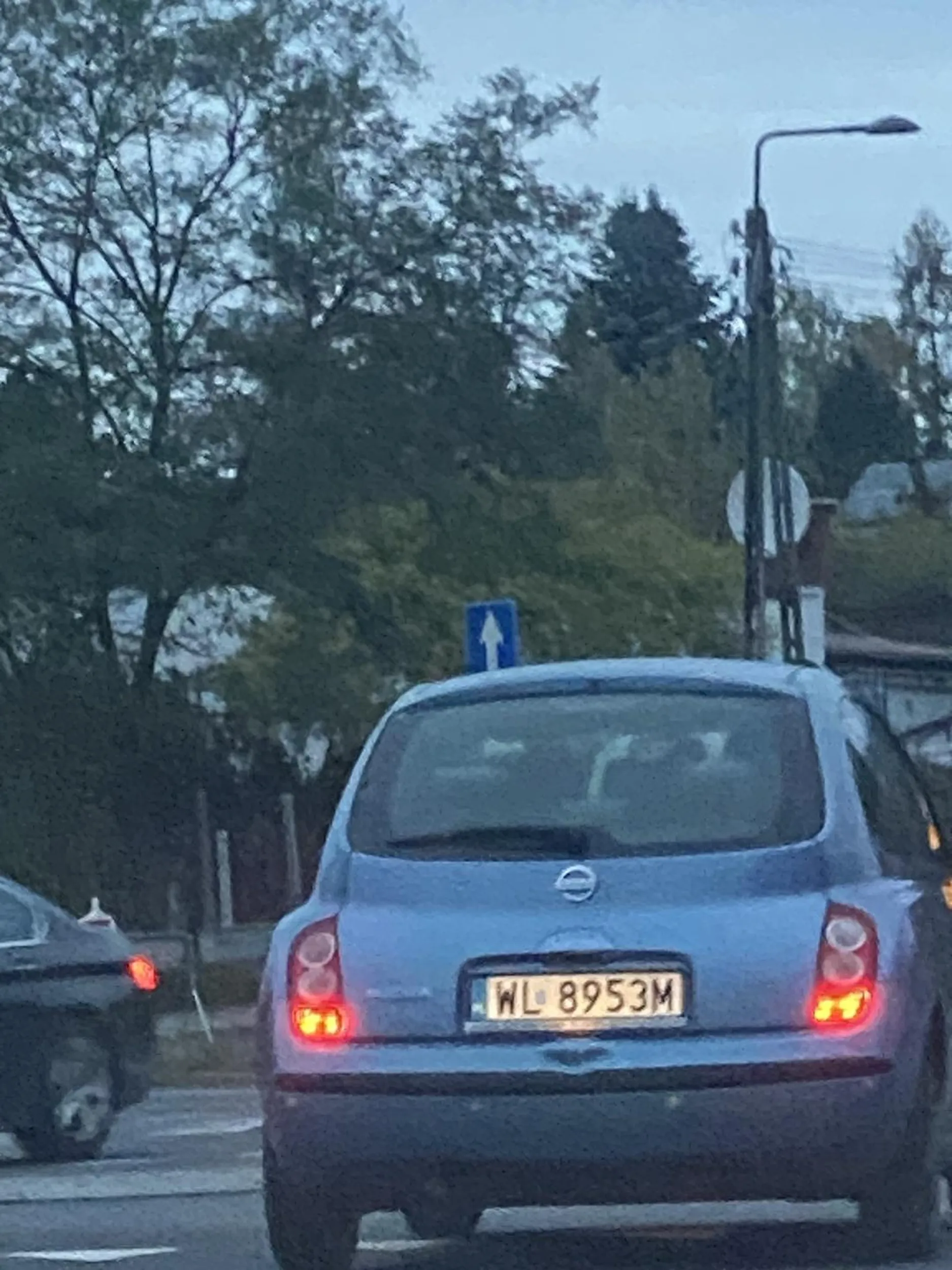 Trąbi, gdy zwalniam przed progiem zwalniającym po czym wyprzedza na podwójnej ciągłej i hamuje przed nami.