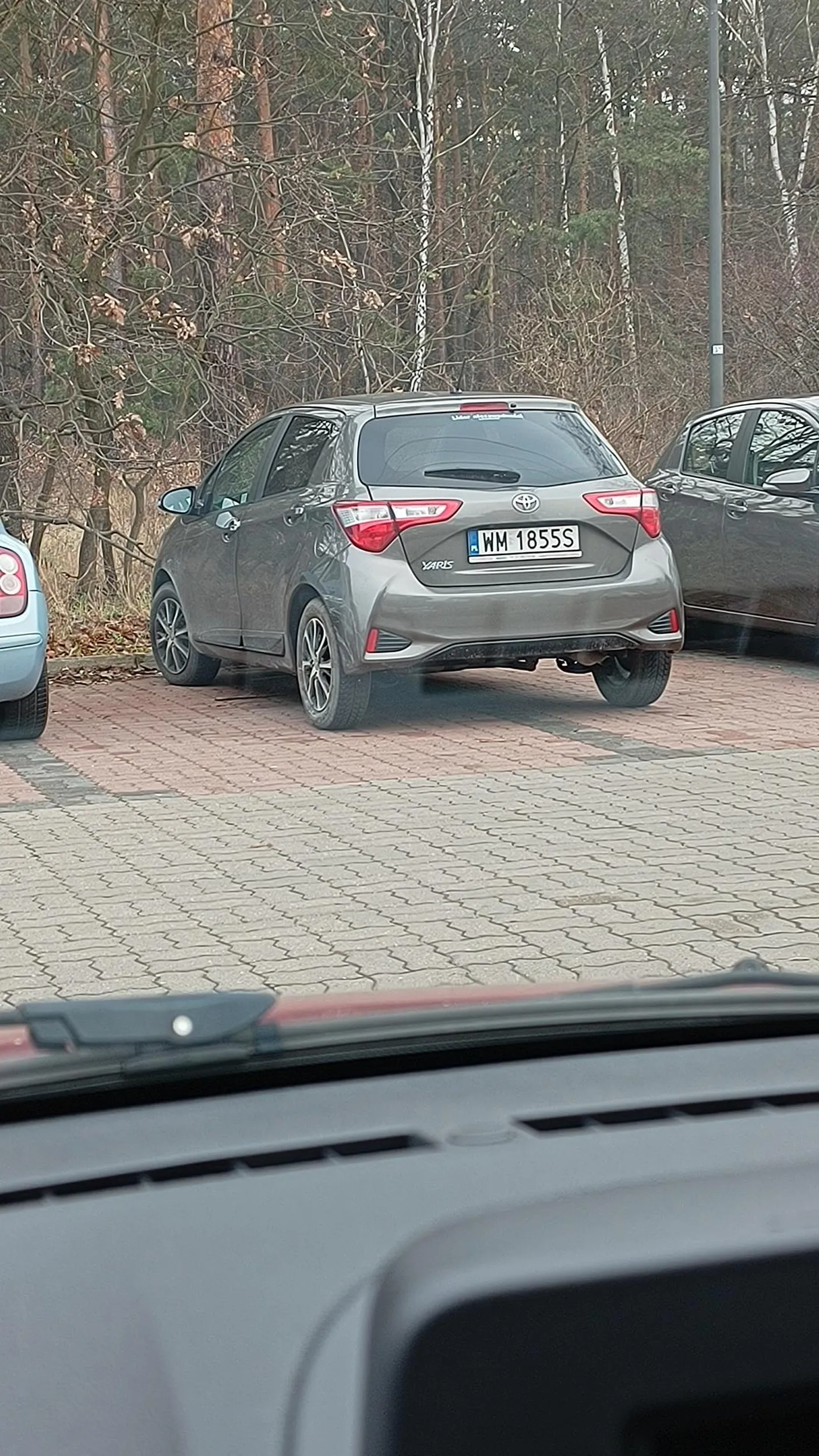 Parkowanie poziom "Ameba umysłowa"