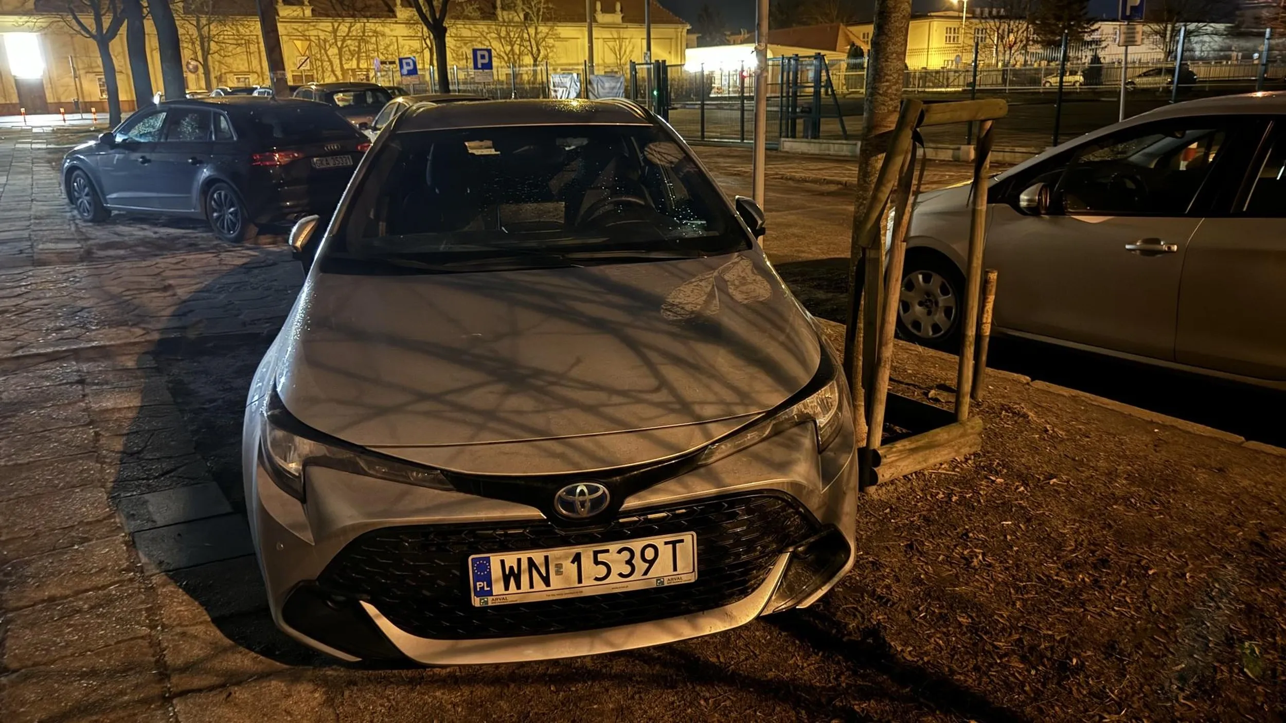 Do drzewka się przytulam