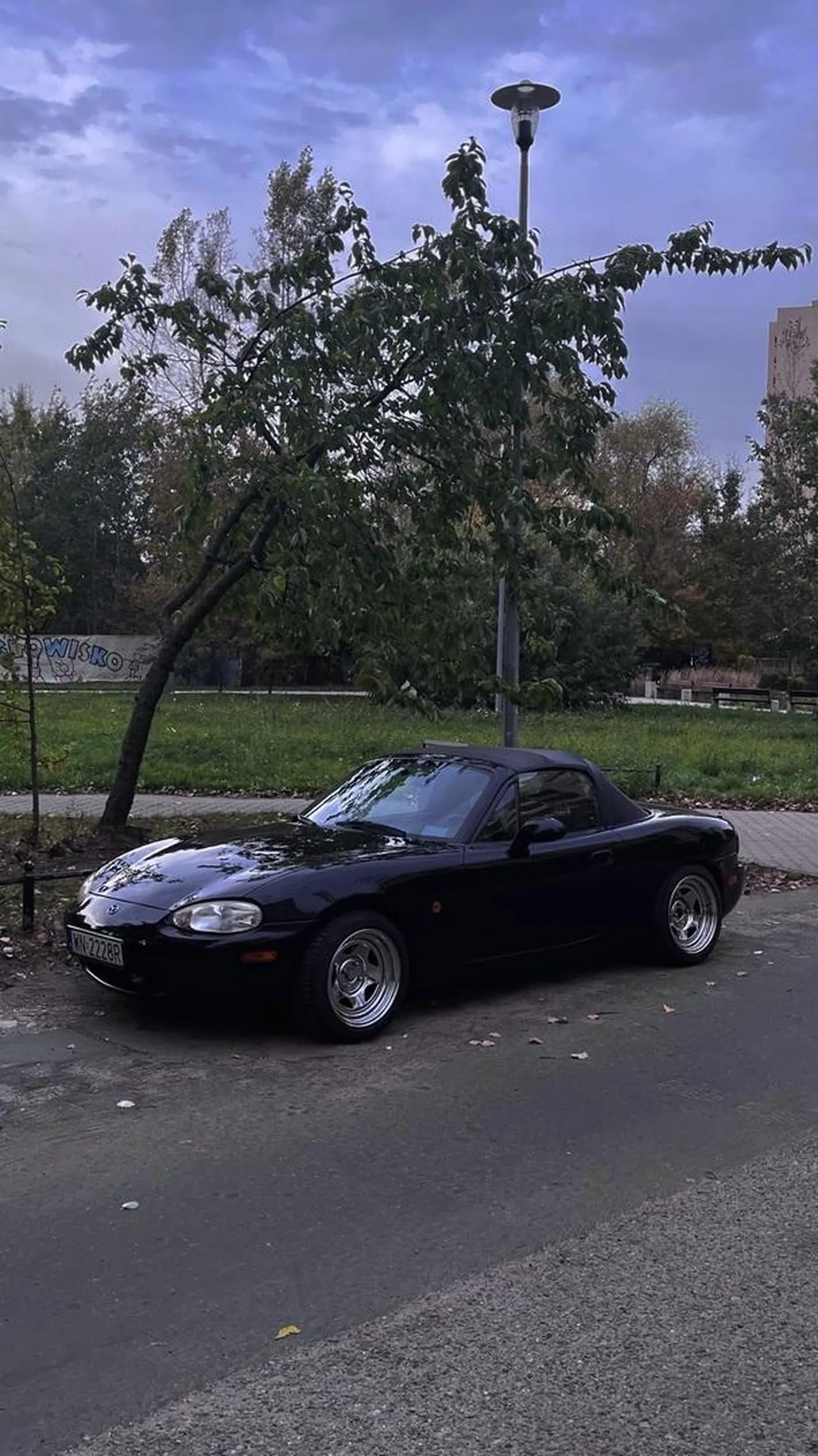 piękna miatuwa wariacie